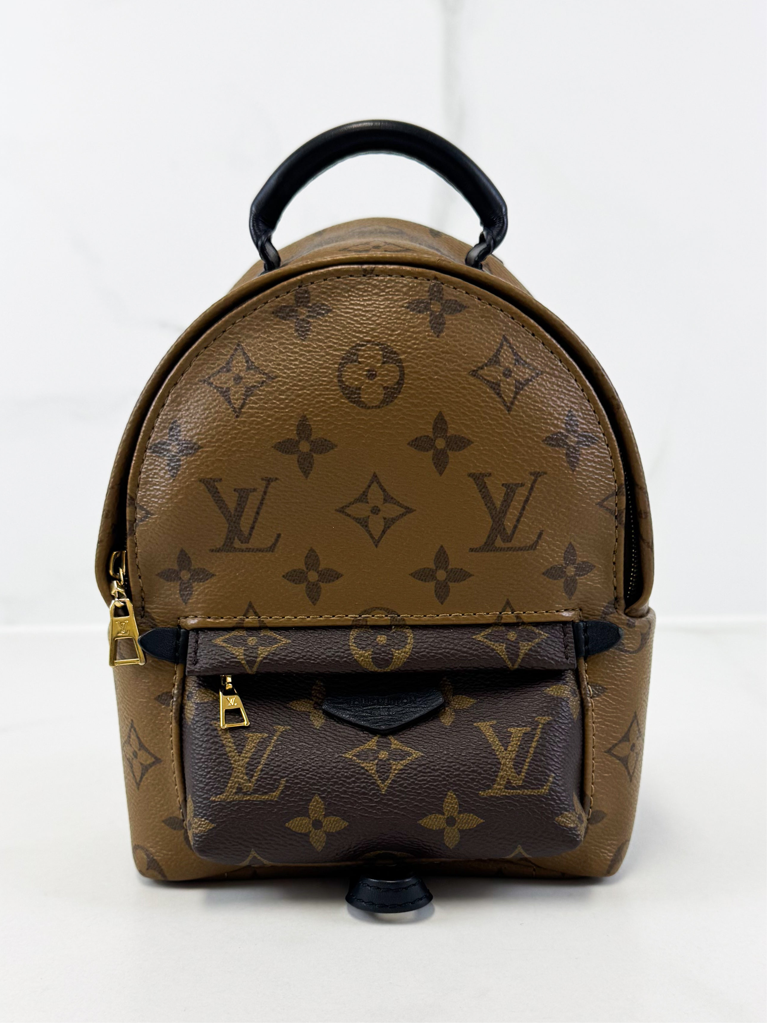 Louis Vuitton Reverse Palm Springs Mini Backpack