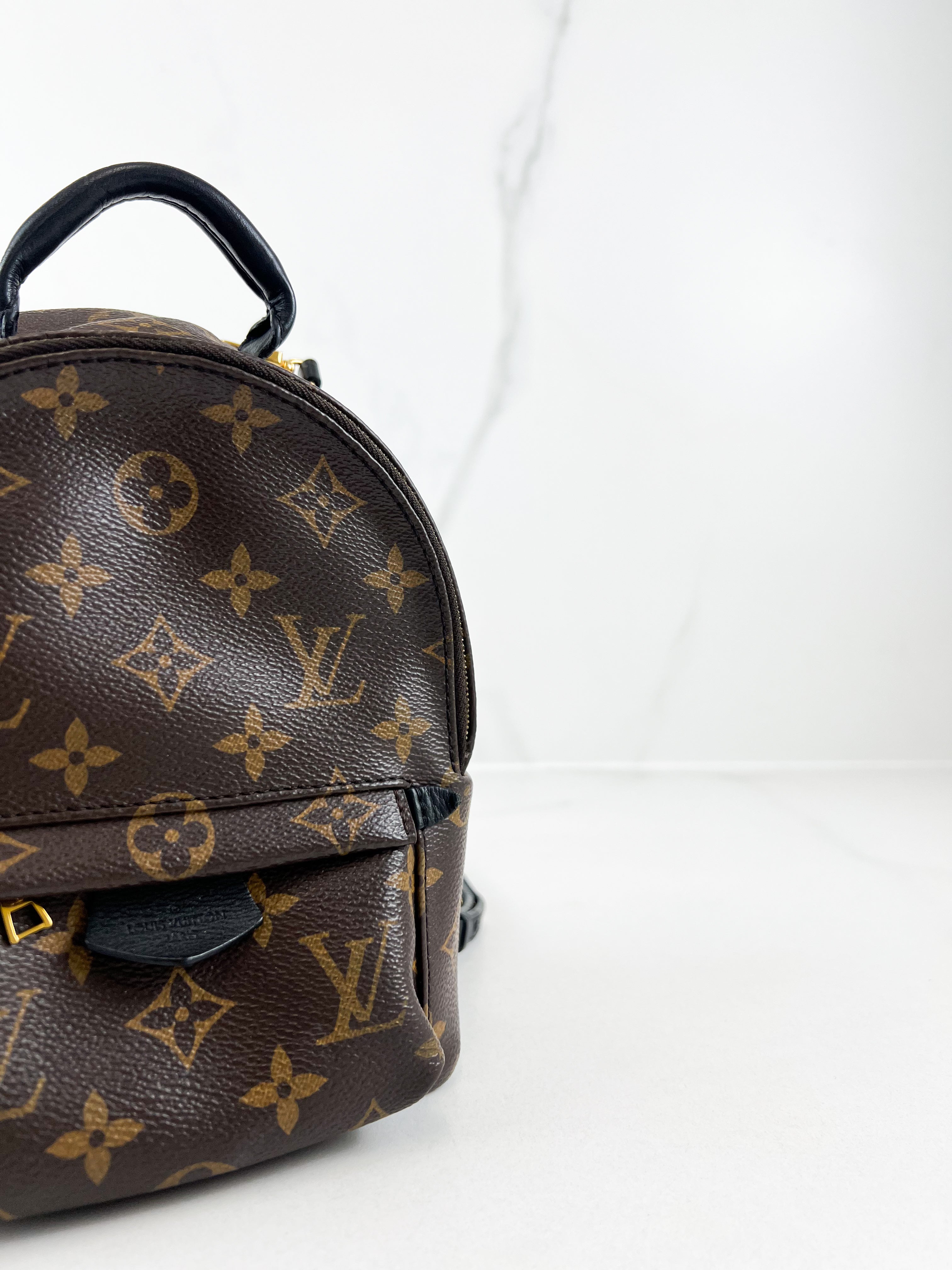 Louis Vuitton Palm Springs Mini