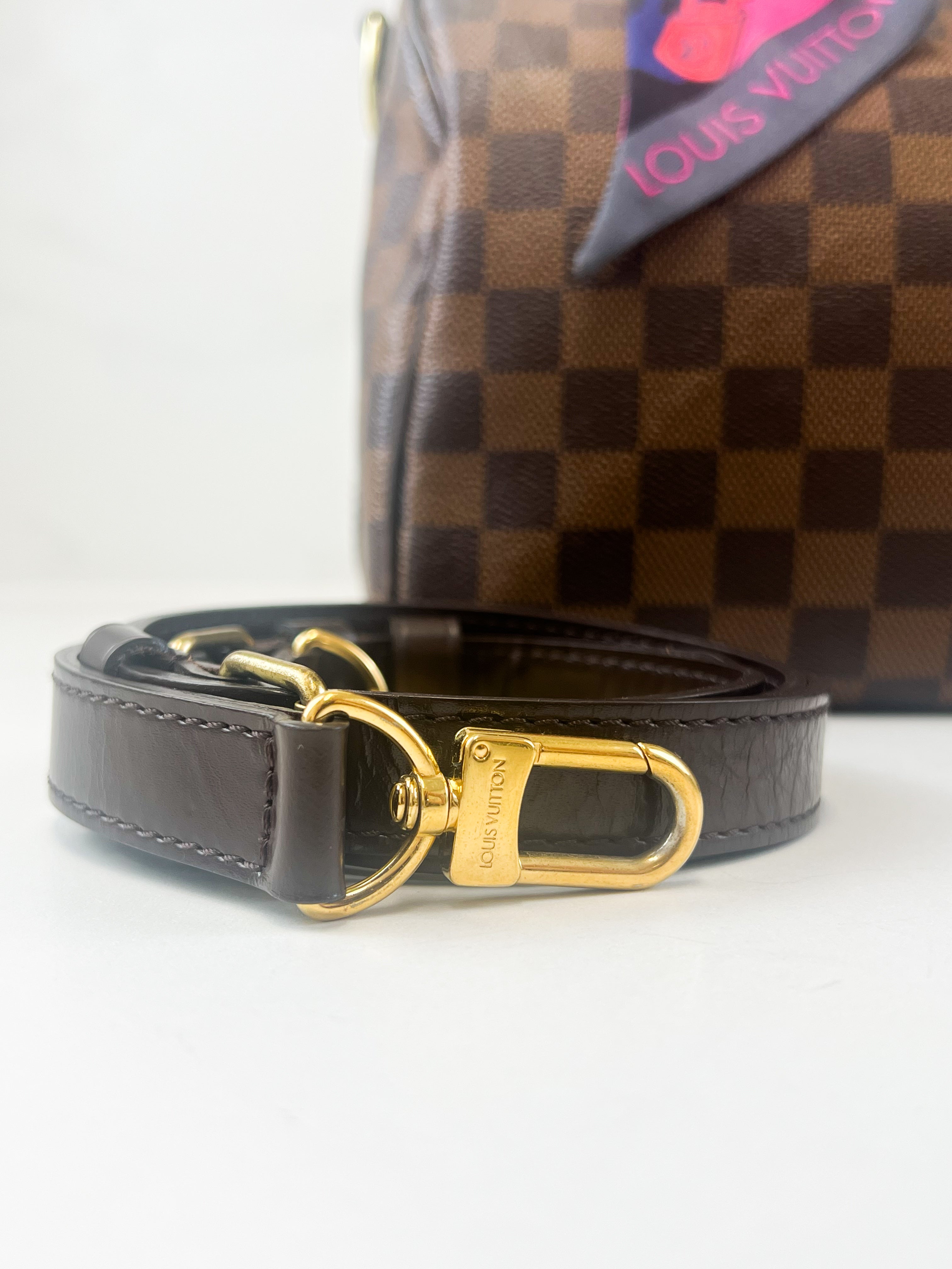 Louis Vuitton Speedy 25 Bandoulière Damier Ebene Canvas