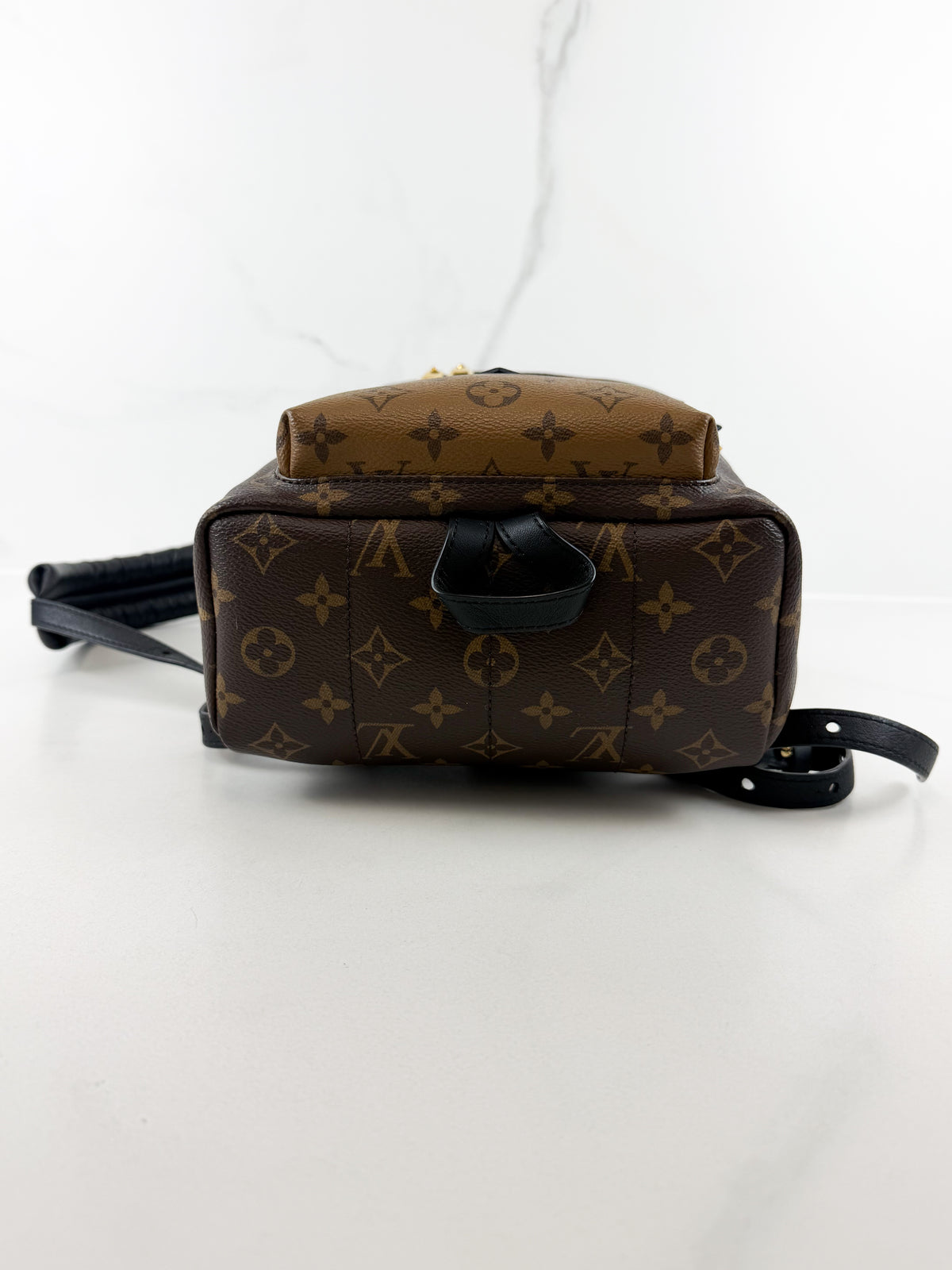 Louis Vuitton Palm Springs PM Reverse Monogram