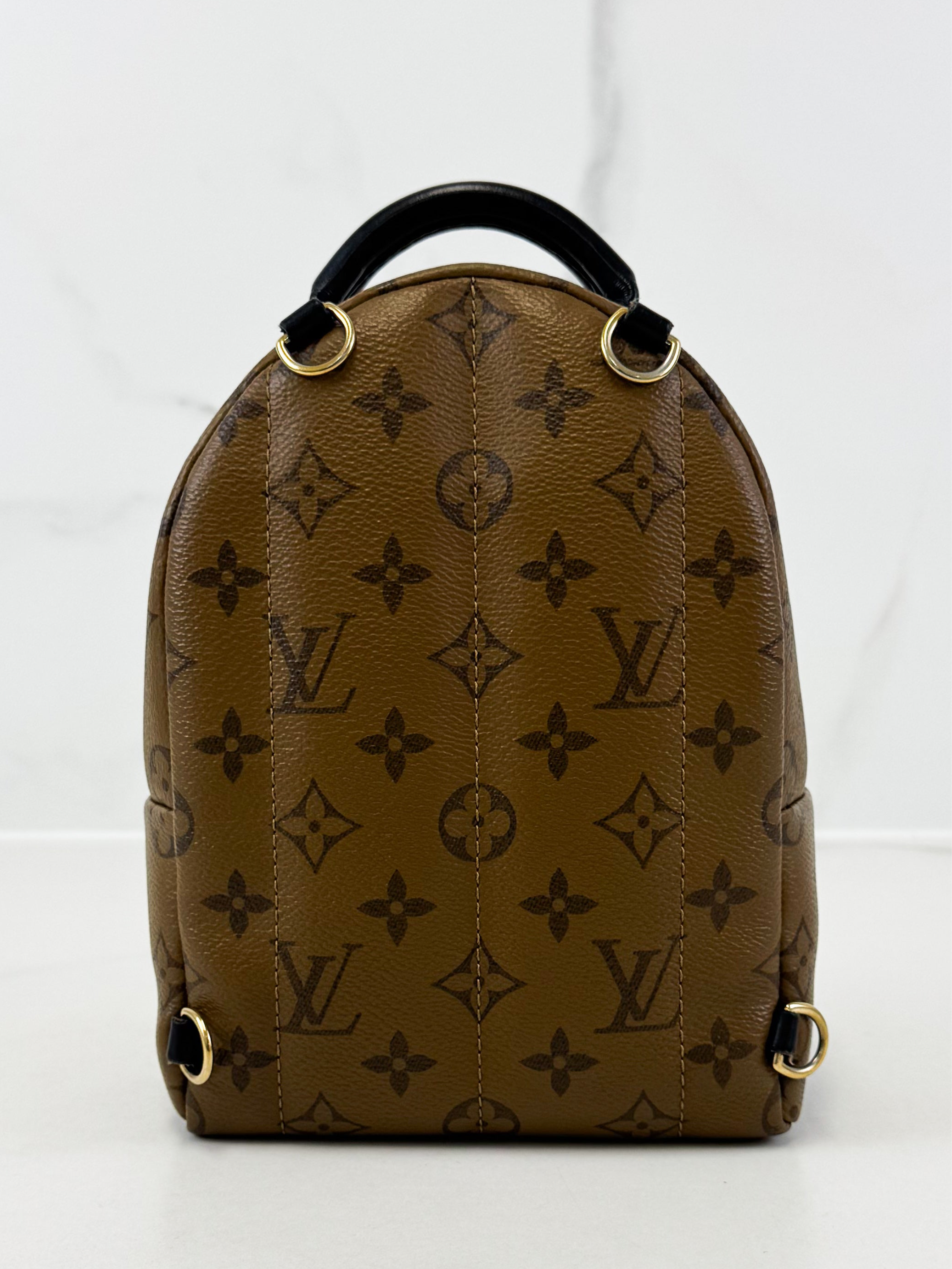 Louis Vuitton Reverse Palm Springs Mini Backpack