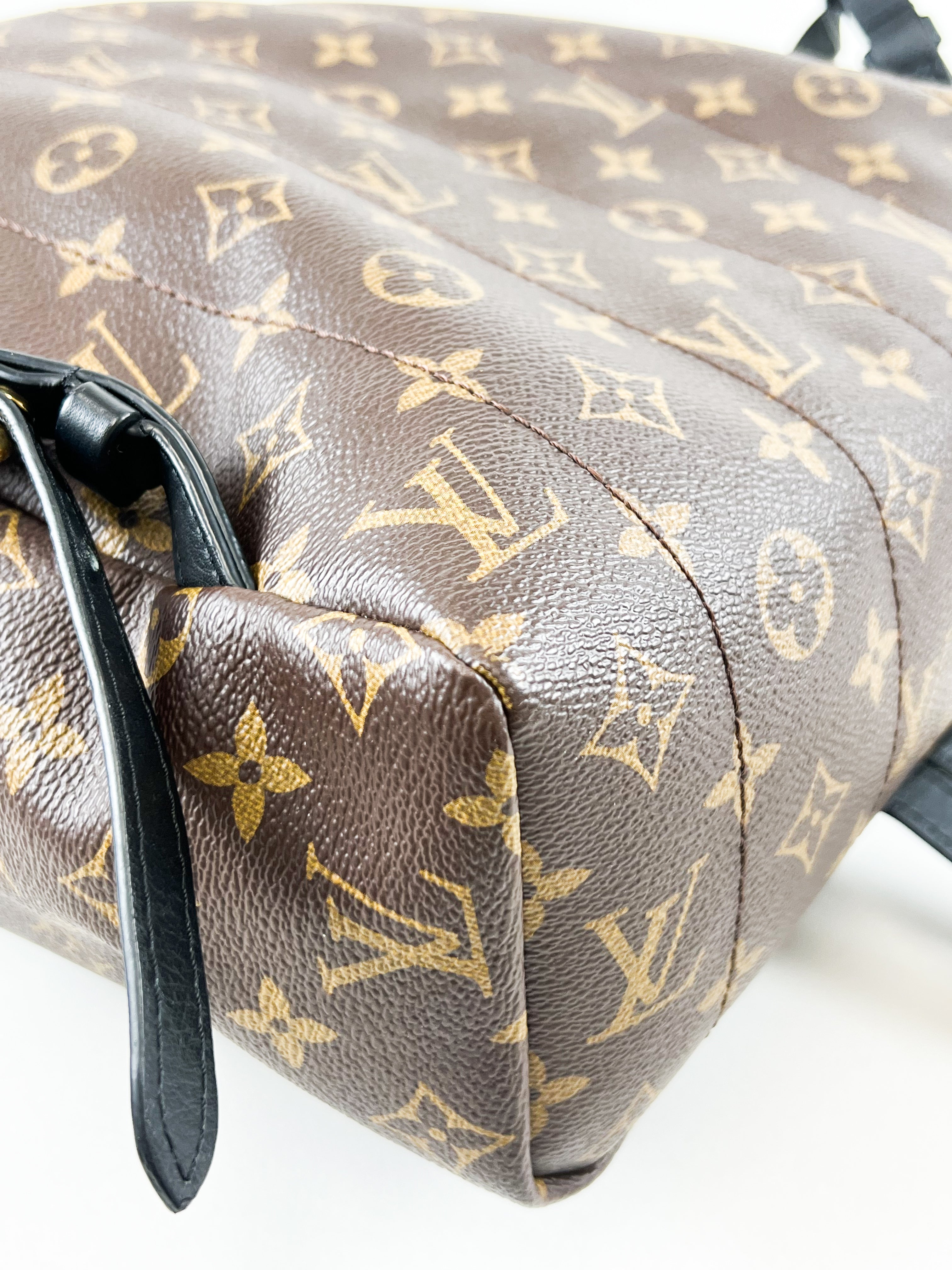 Louis Vuitton Palm Springs MM Monogram
