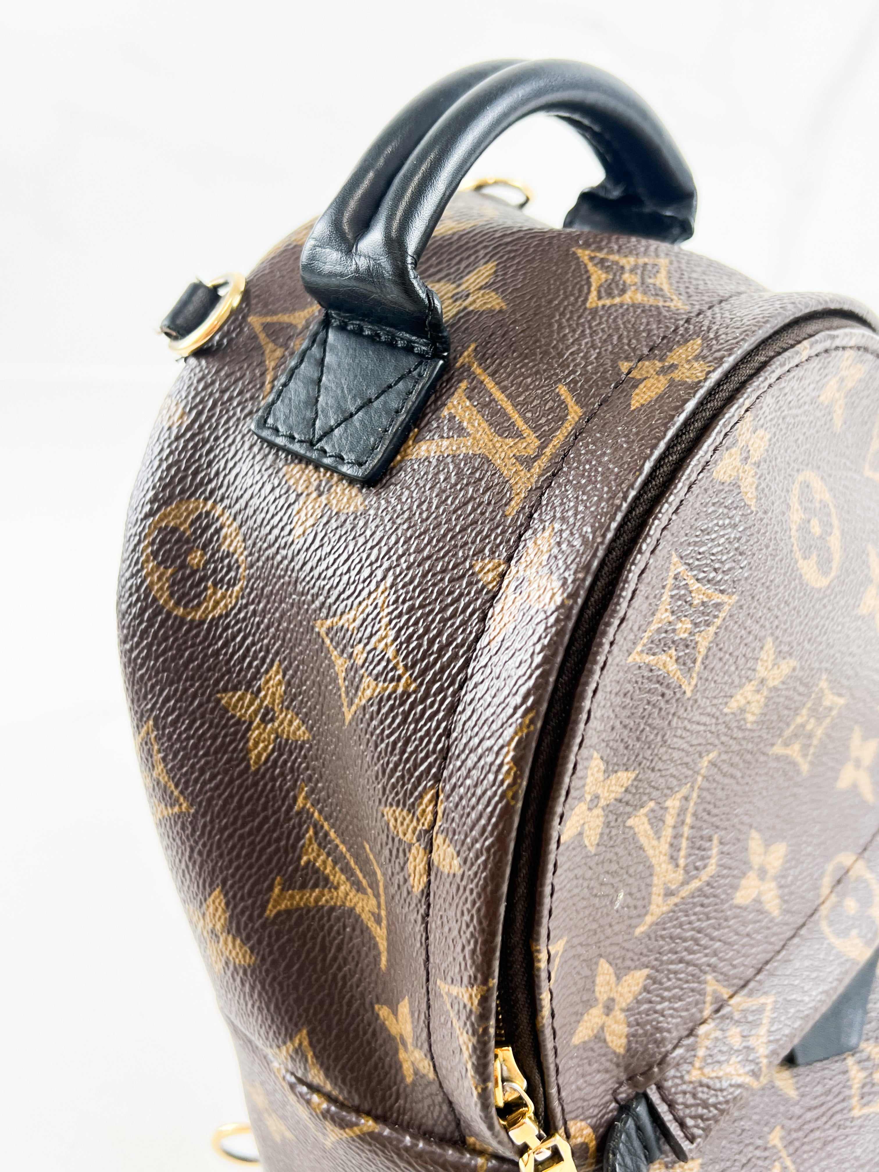 Louis Vuitton Palm Springs Mini