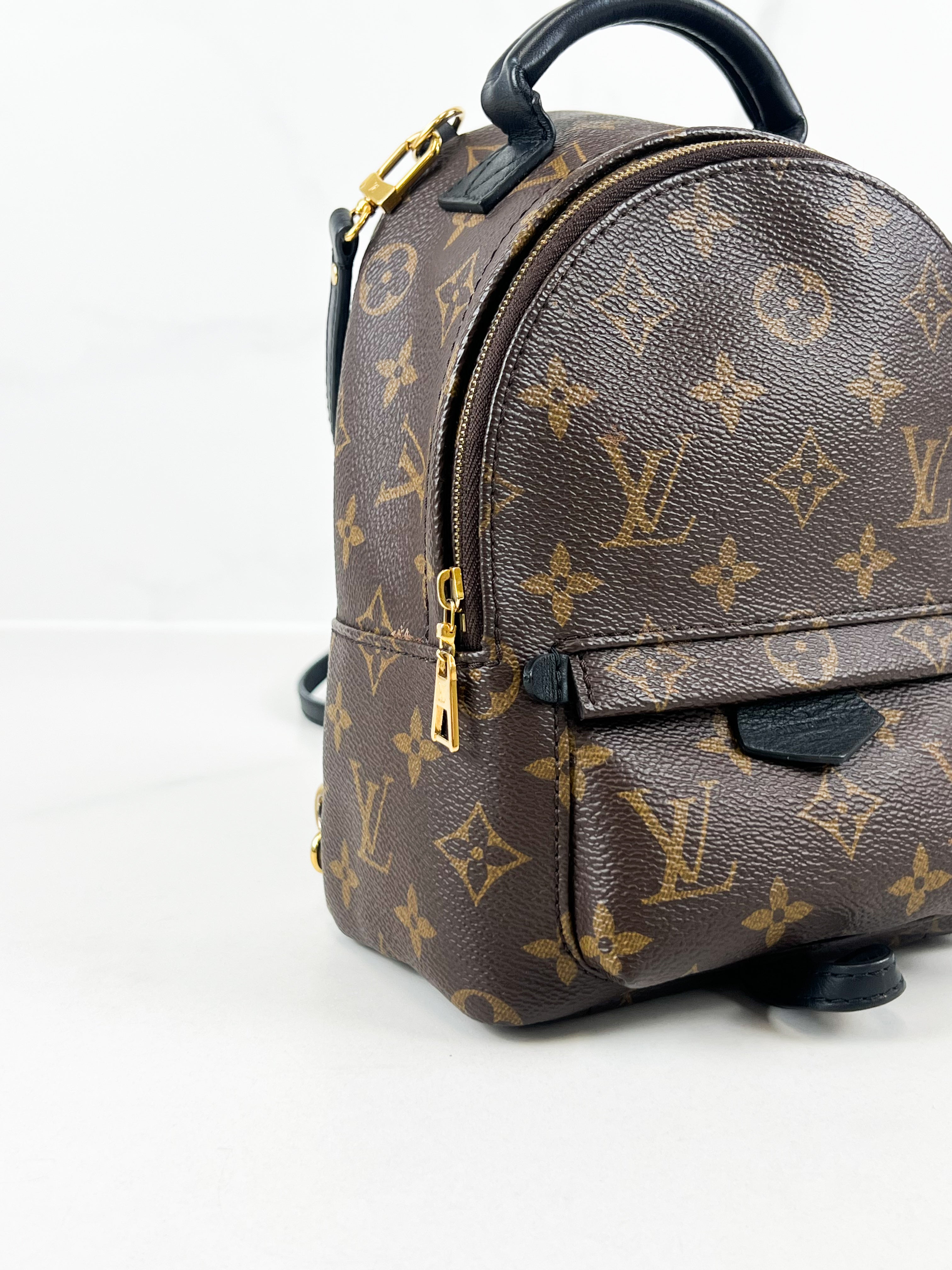 Louis Vuitton Palm Springs Mini