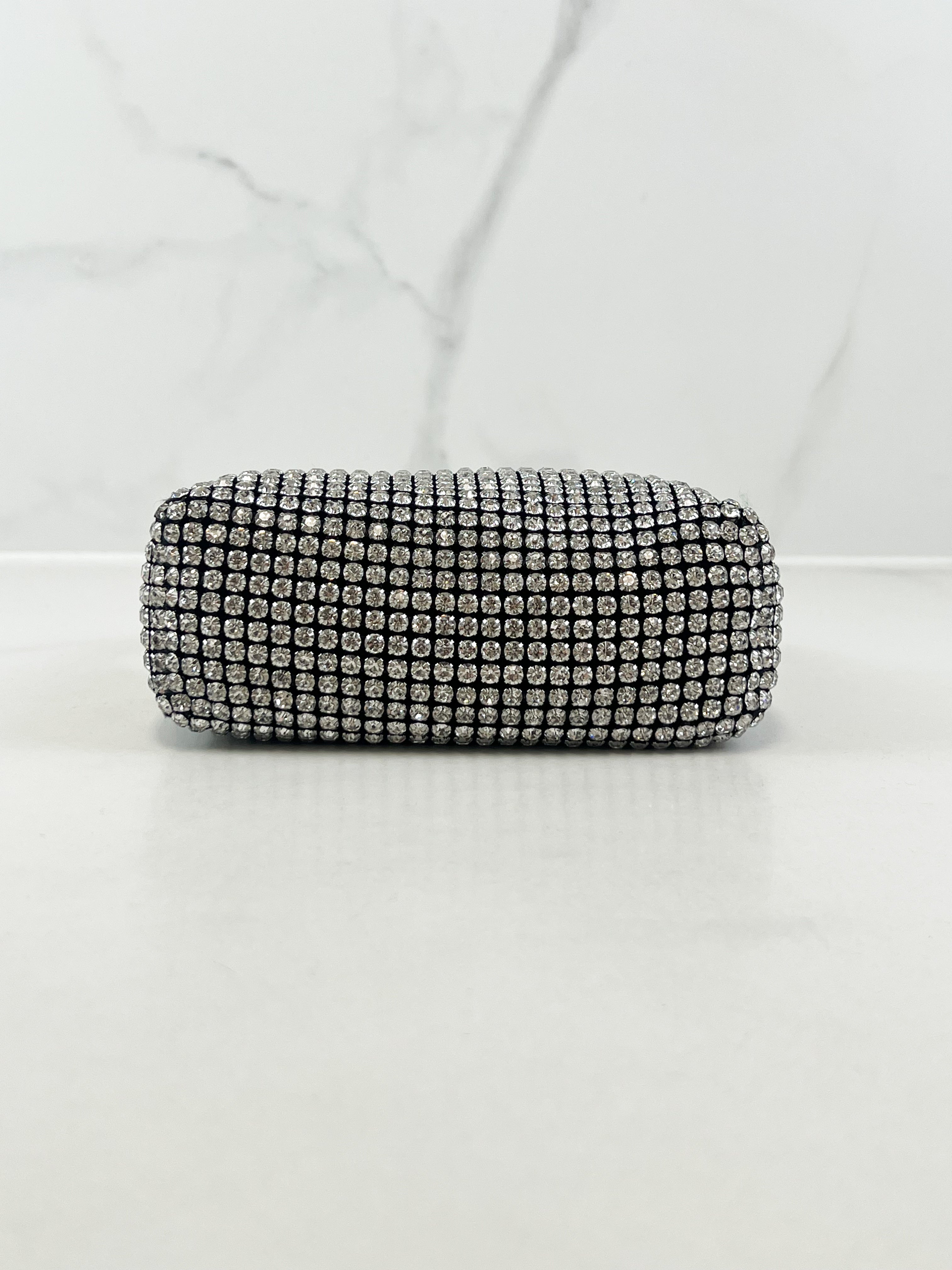 Alexander Wang Heiress pouch
