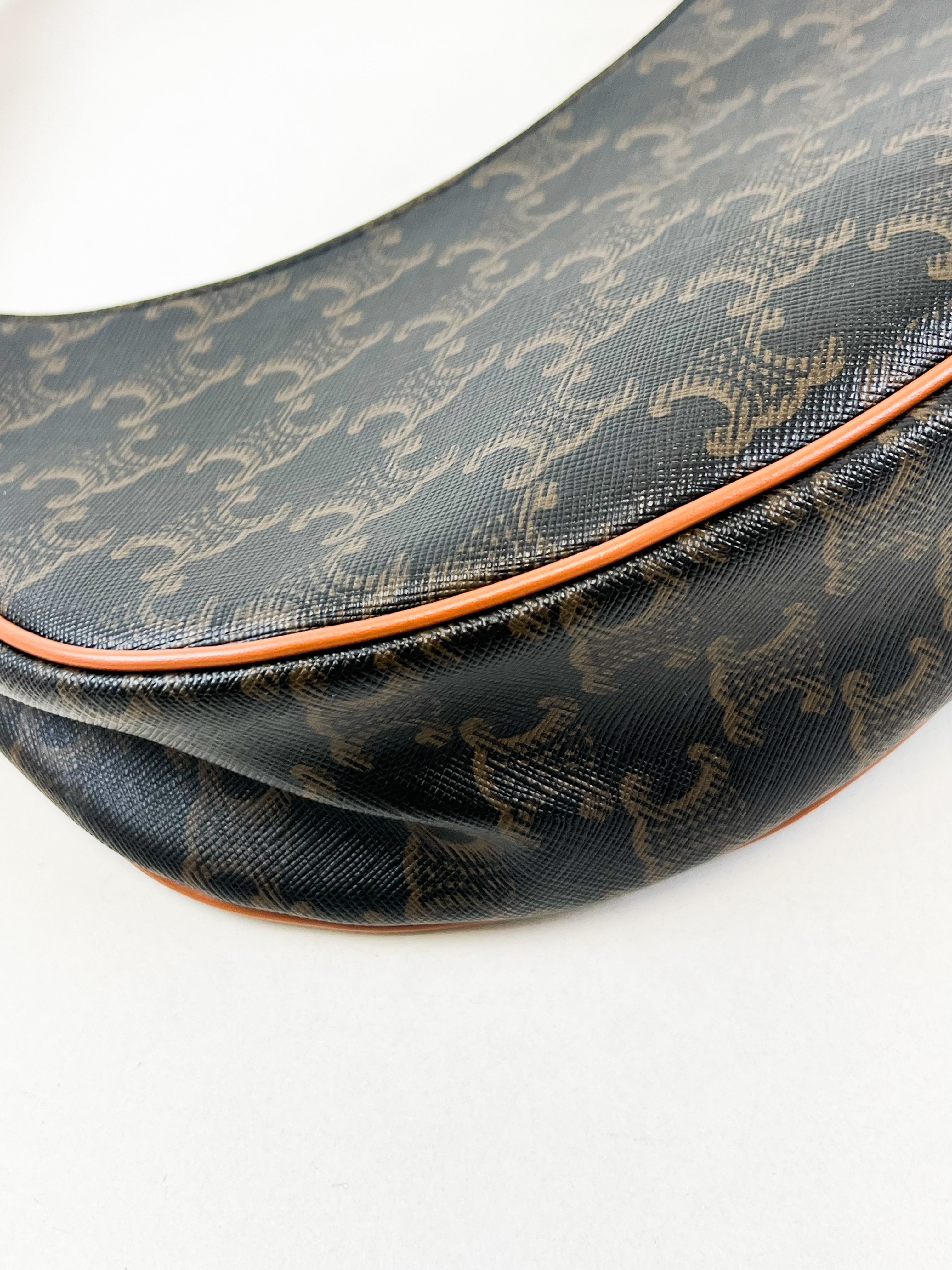 Celine Ava Bag in Triomphe Canvas & Calfskin Ta