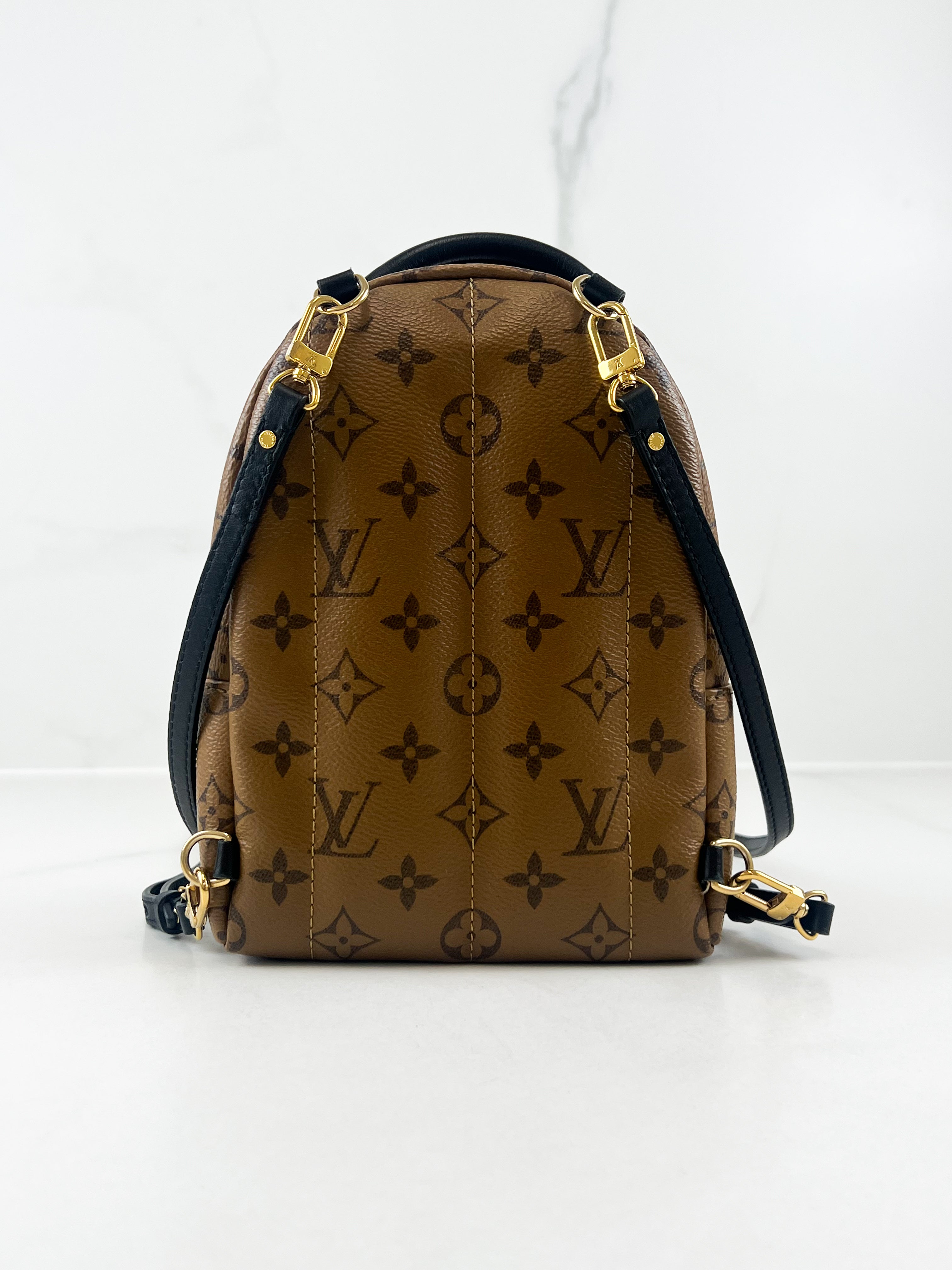 Louis Vuitton Reverse Palm Springs Mini Backpack
