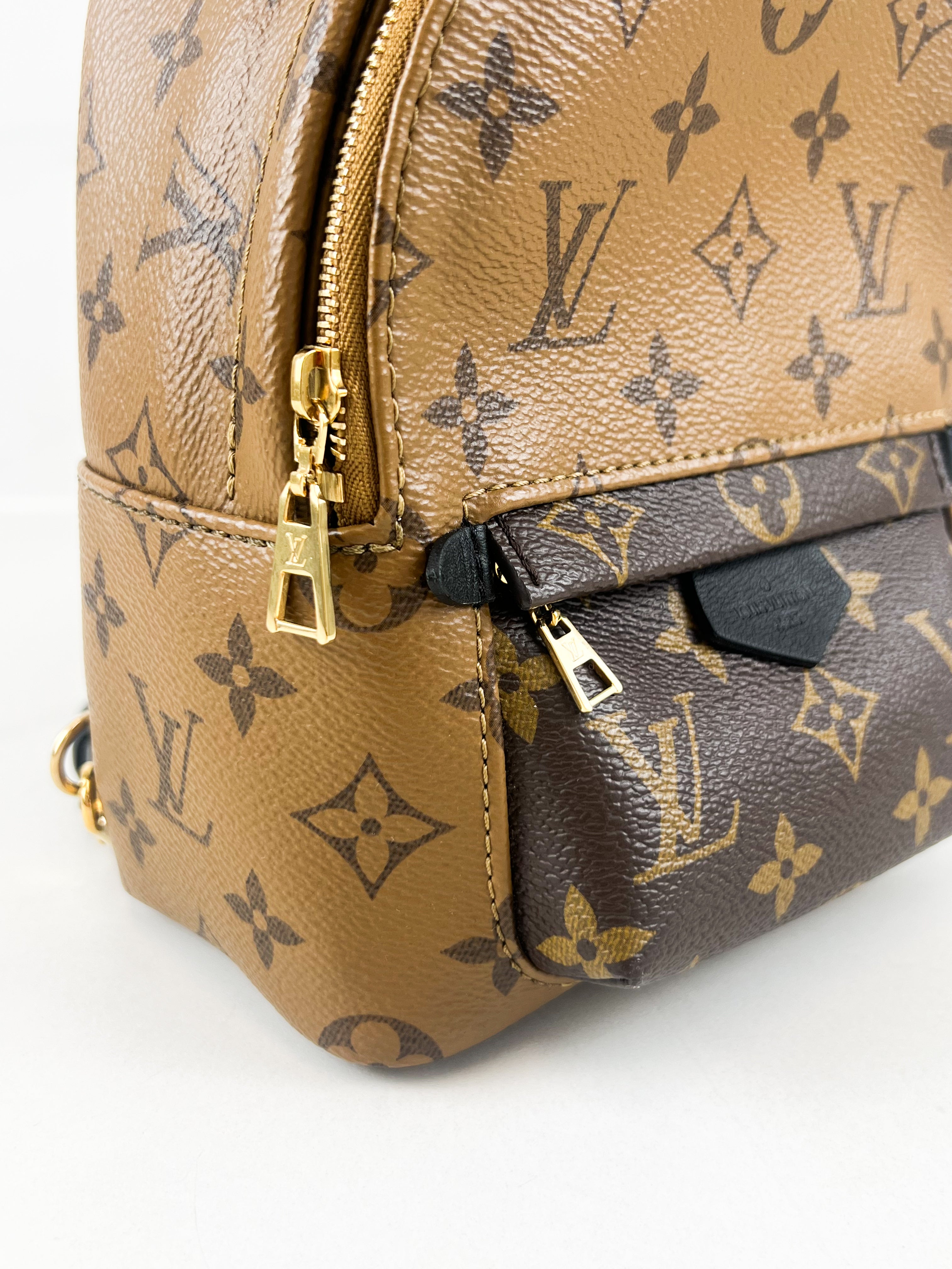 Louis Vuitton Reverse Palm Springs Mini Backpack
