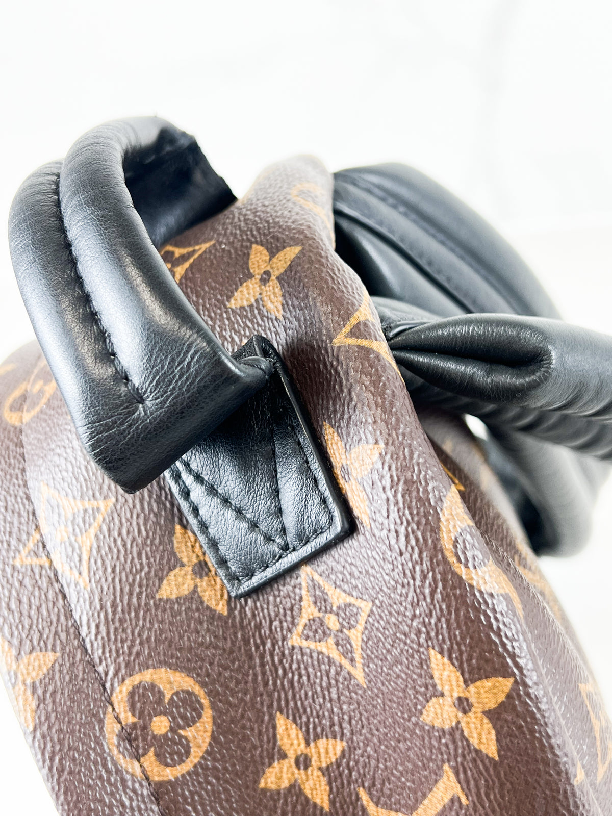 Louis Vuitton Palm Springs PM Monogram