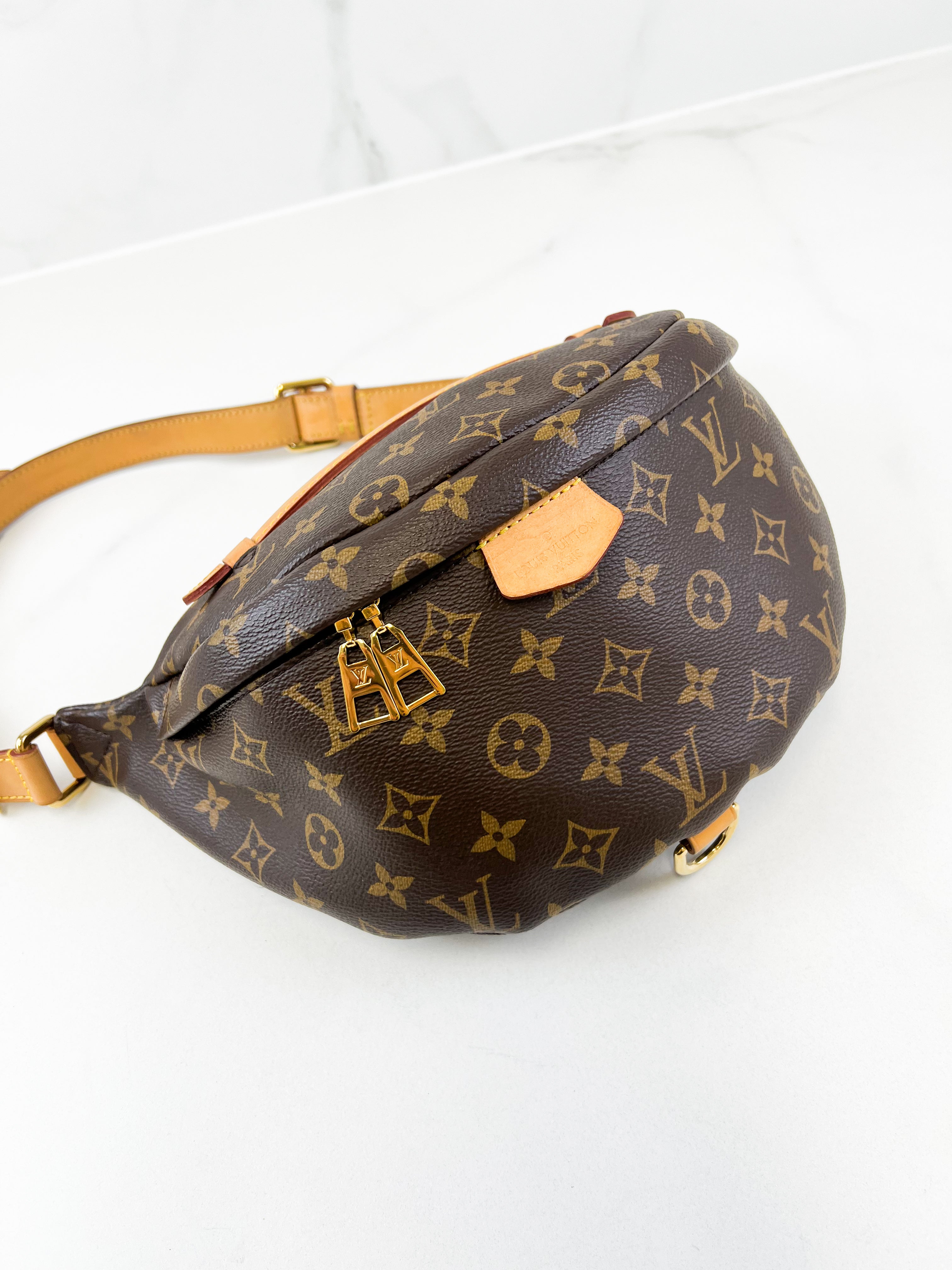 Louis Vuitton Monogram Canvas Bumbag