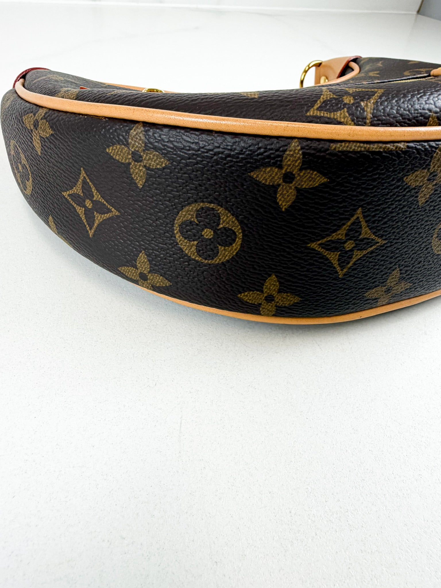 Louis Vuitton Loop Monogram Chain Bag