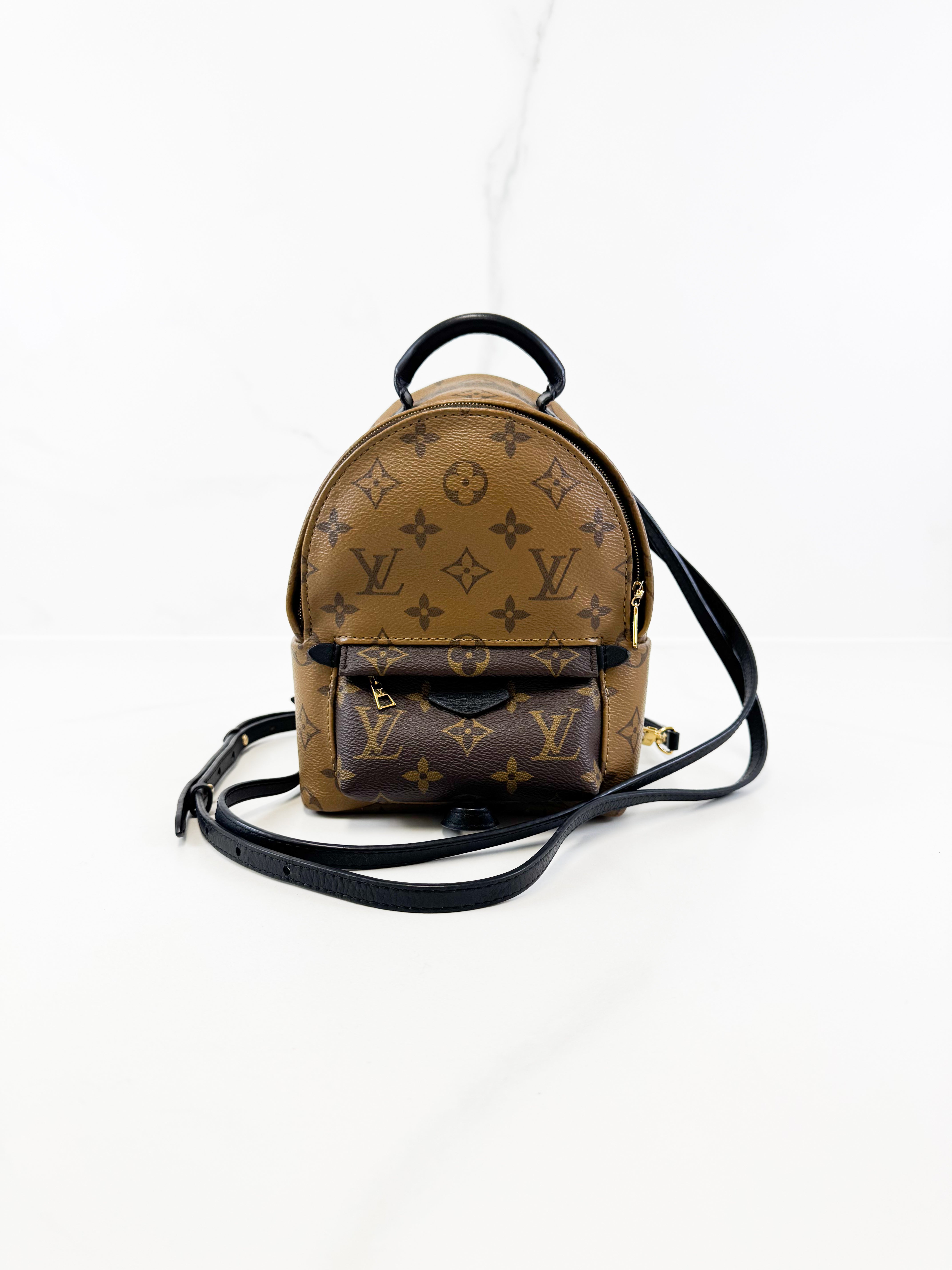 Louis Vuitton Reverse Palm Springs Mini Backpack