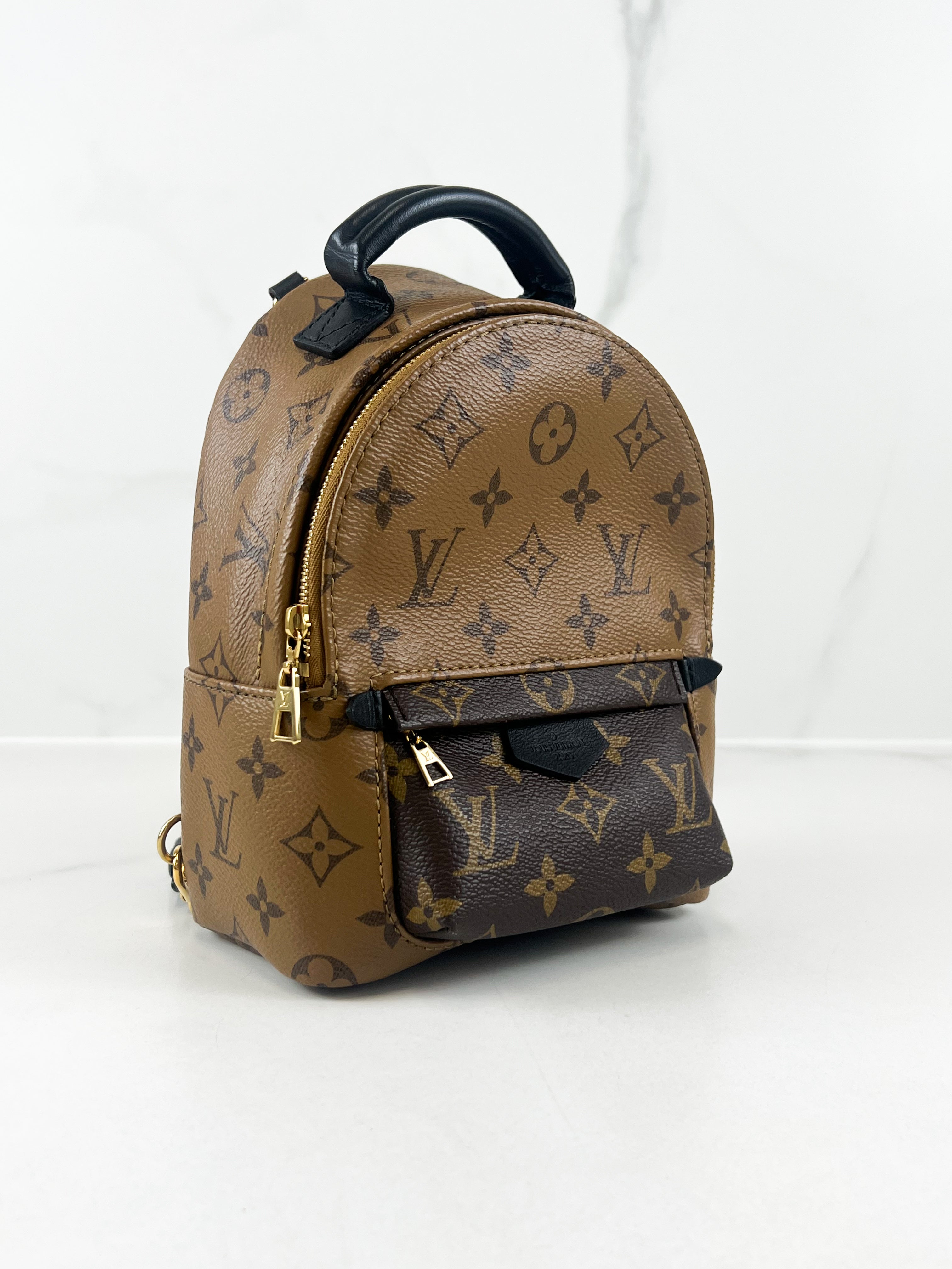 Louis Vuitton Reverse Palm Springs Mini Backpack
