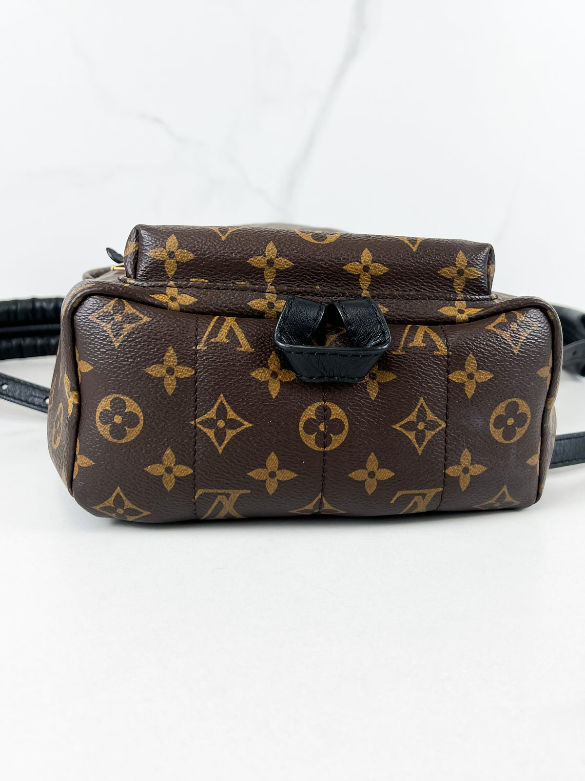 Louis Vuitton Palm Springs PM Monogram