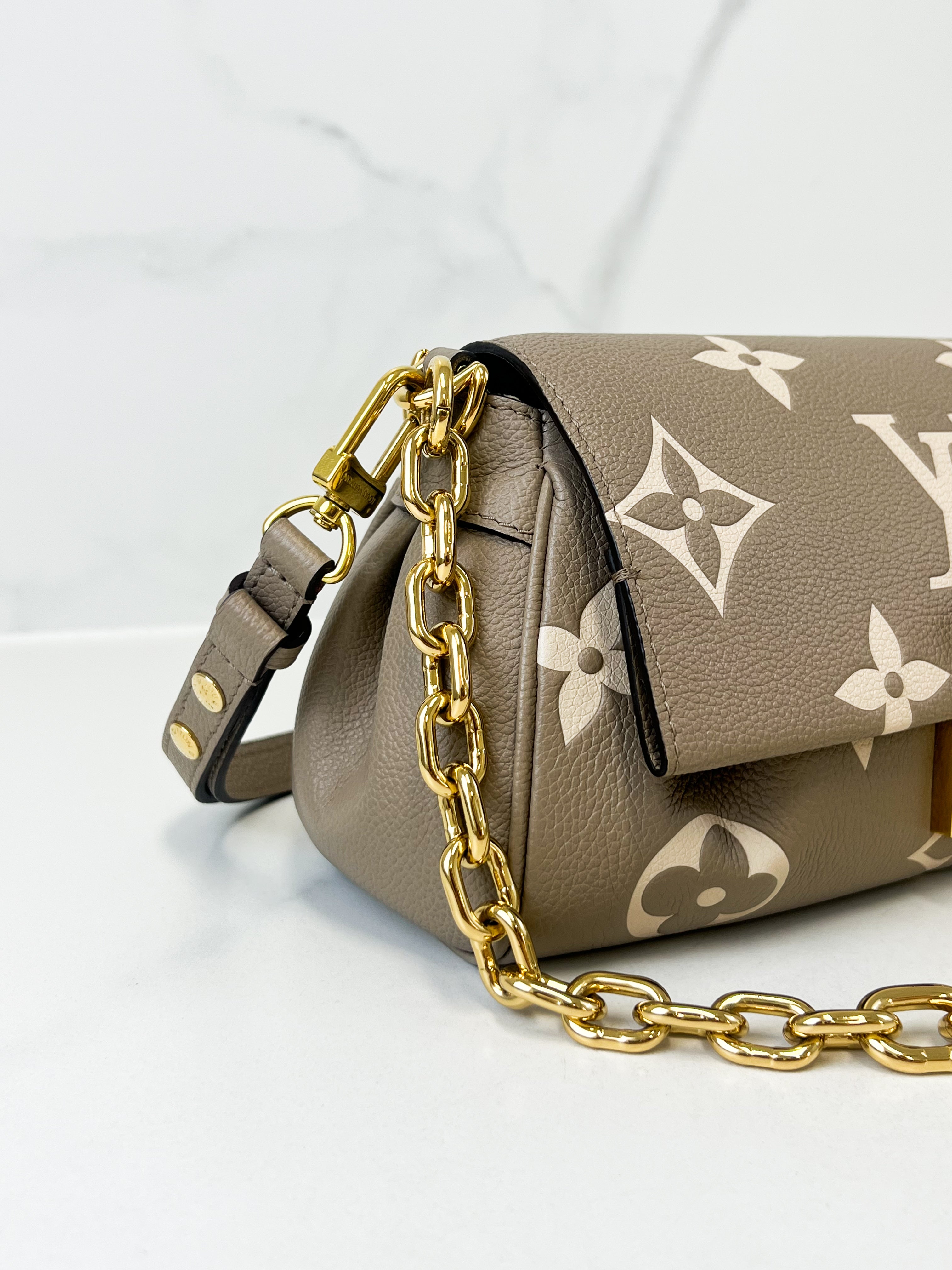 Louis Vuitton Favourite MM Monogram Canvas