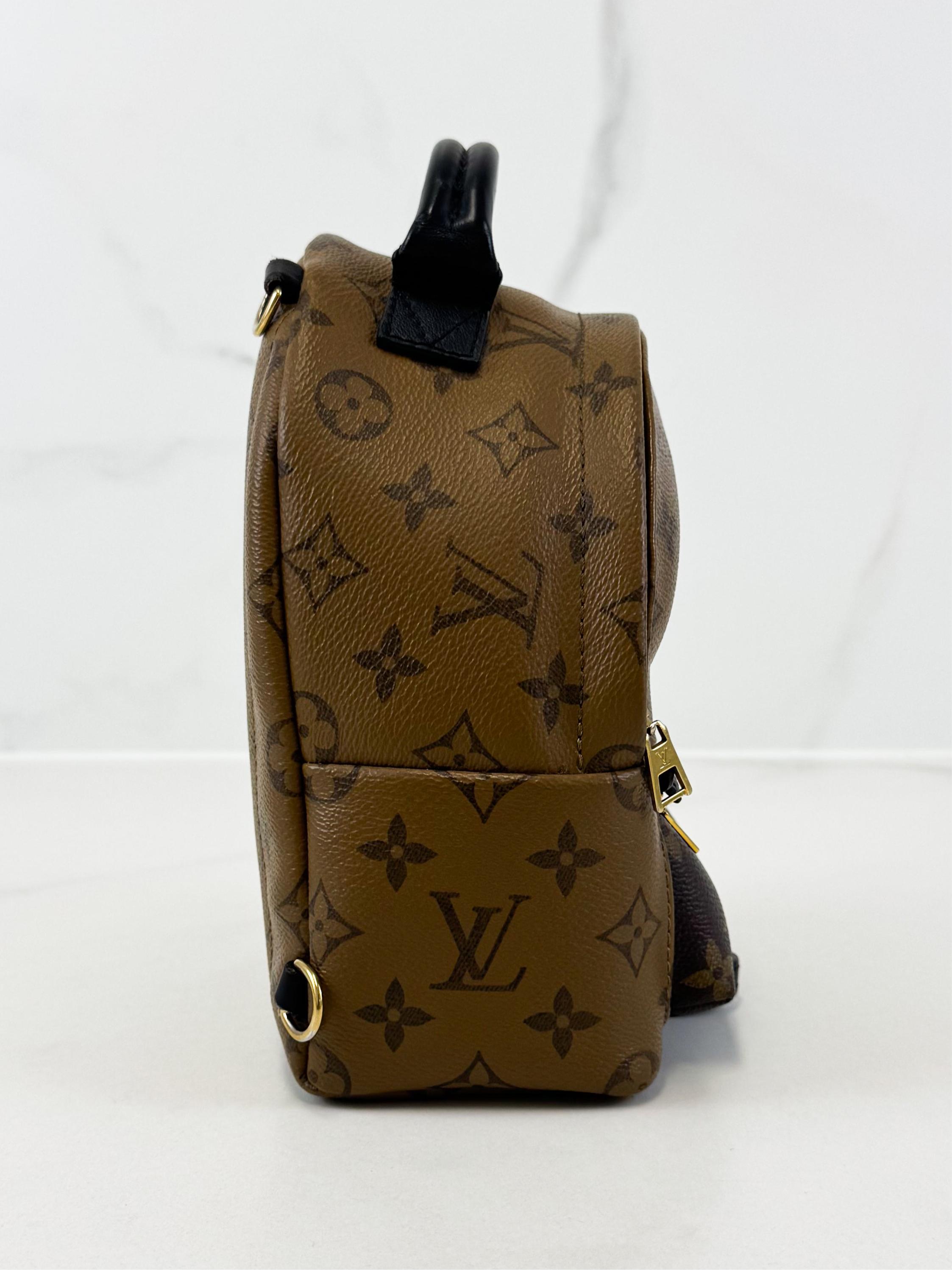 Louis Vuitton Reverse Palm Springs Mini Backpack
