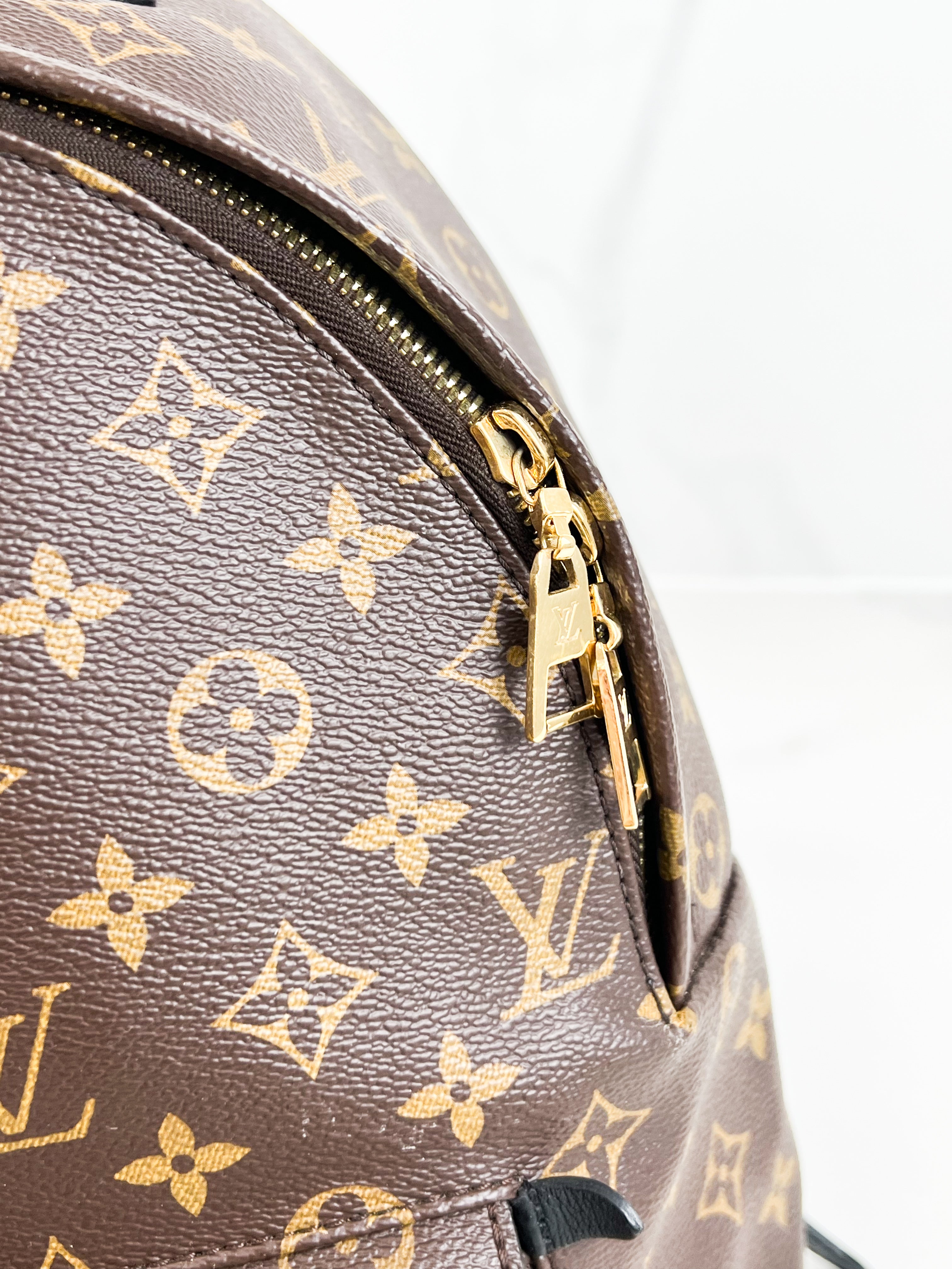 Louis Vuitton Palm Springs MM Monogram