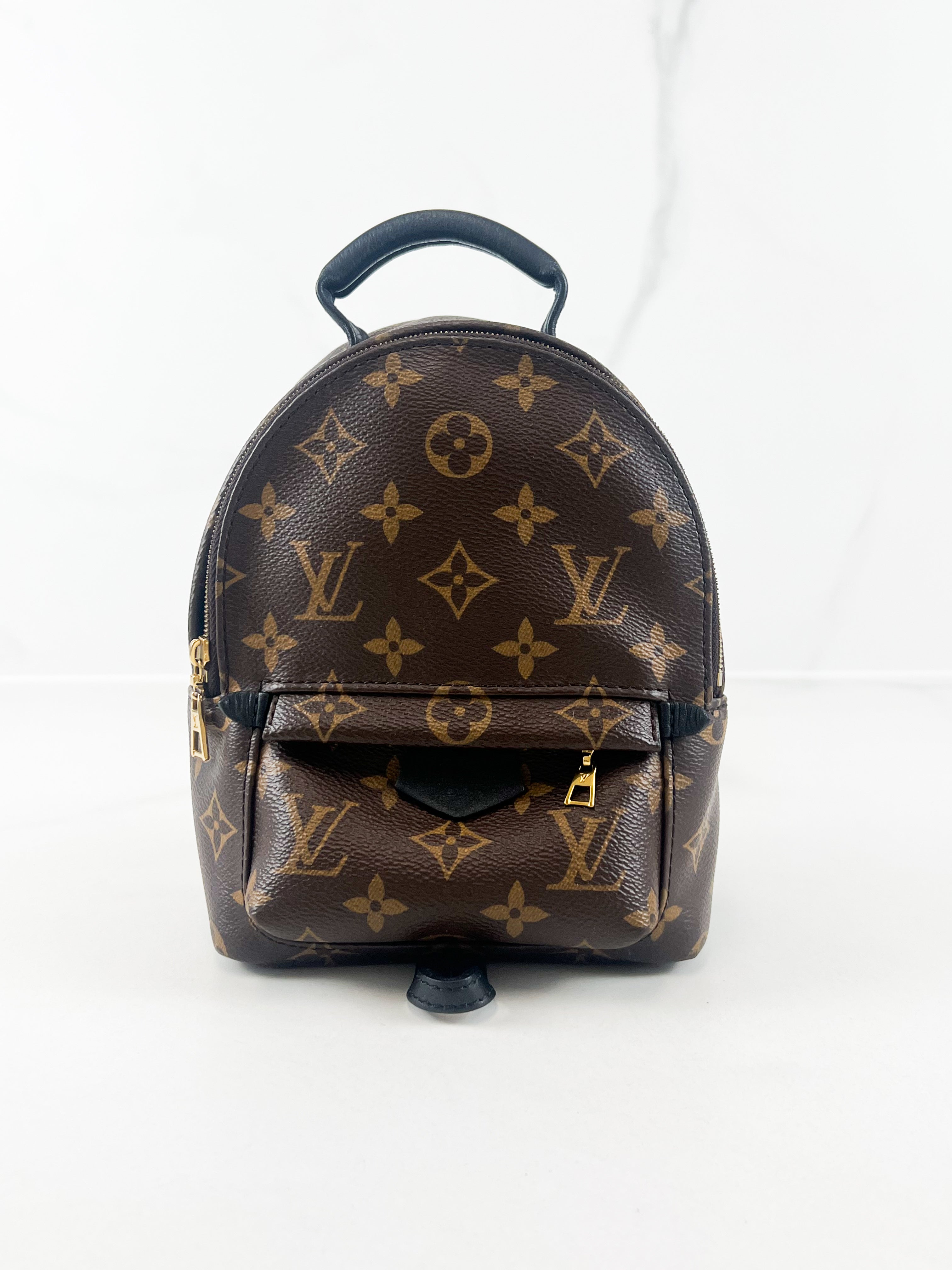 Louis Vuitton Palm Springs Mini