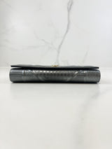 Christian Dior Silver Diorama WOC