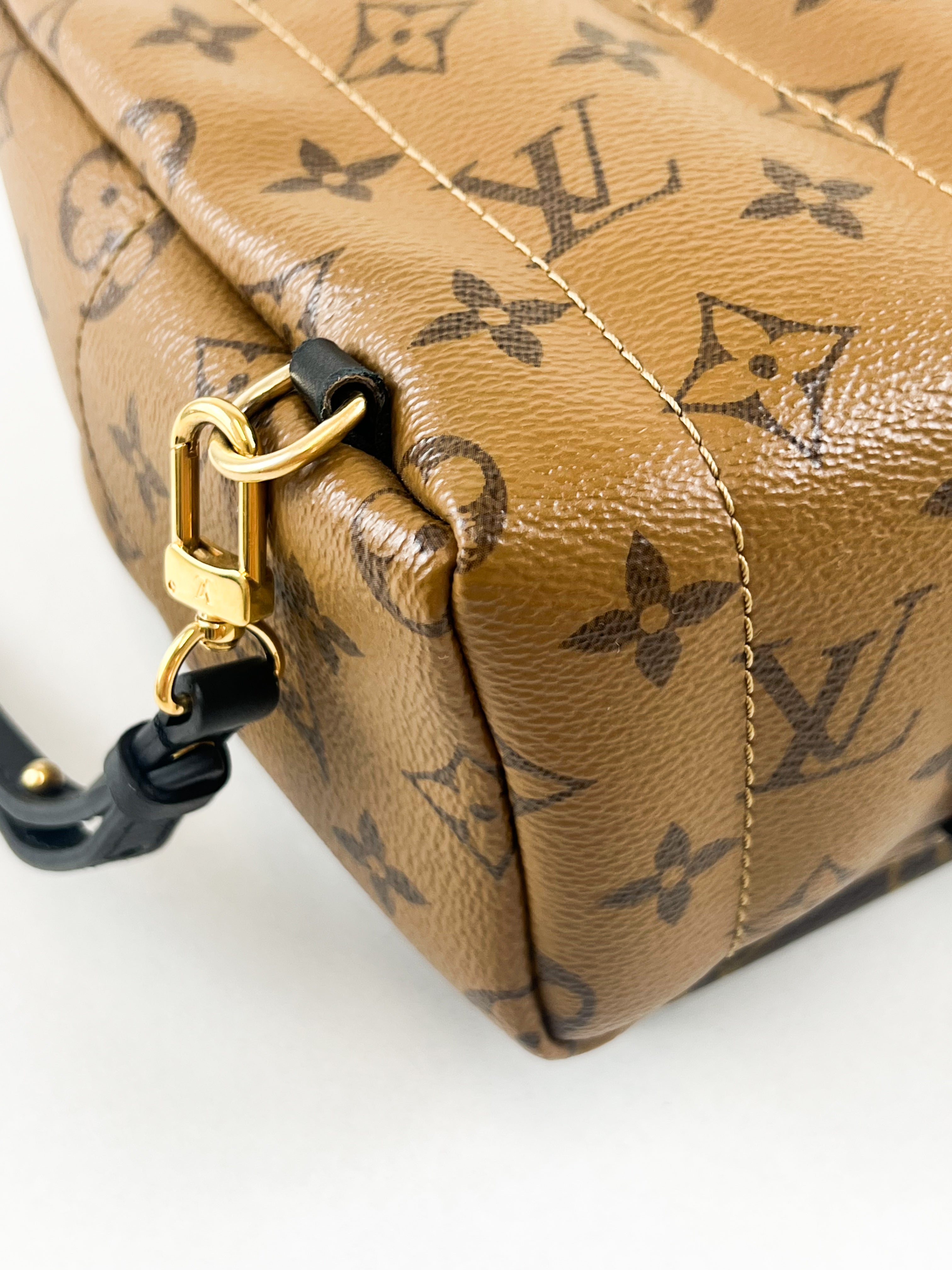 Louis Vuitton Reverse Palm Springs Mini Backpack