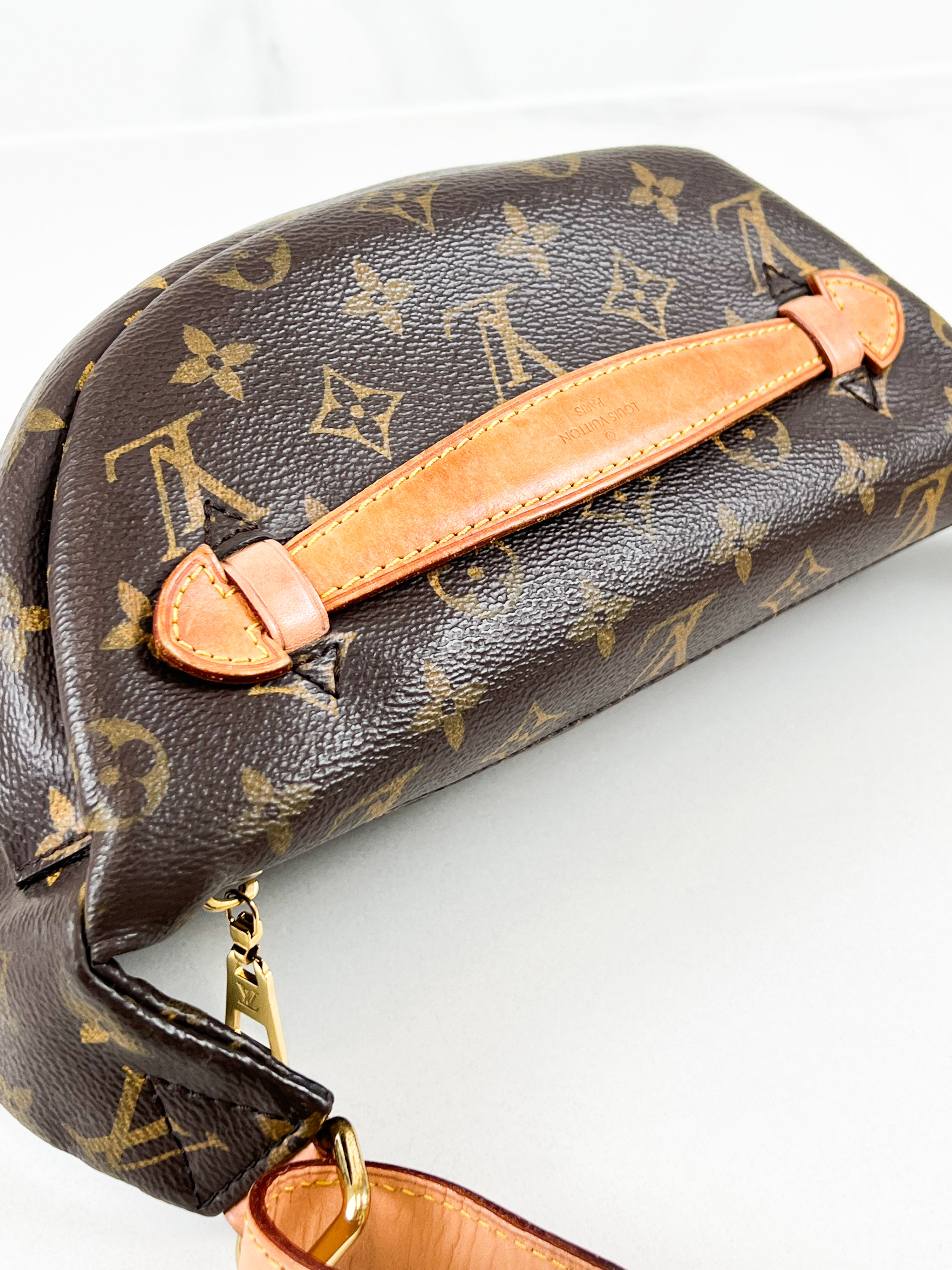 Louis Vuitton Monogram Canvas Bumbag