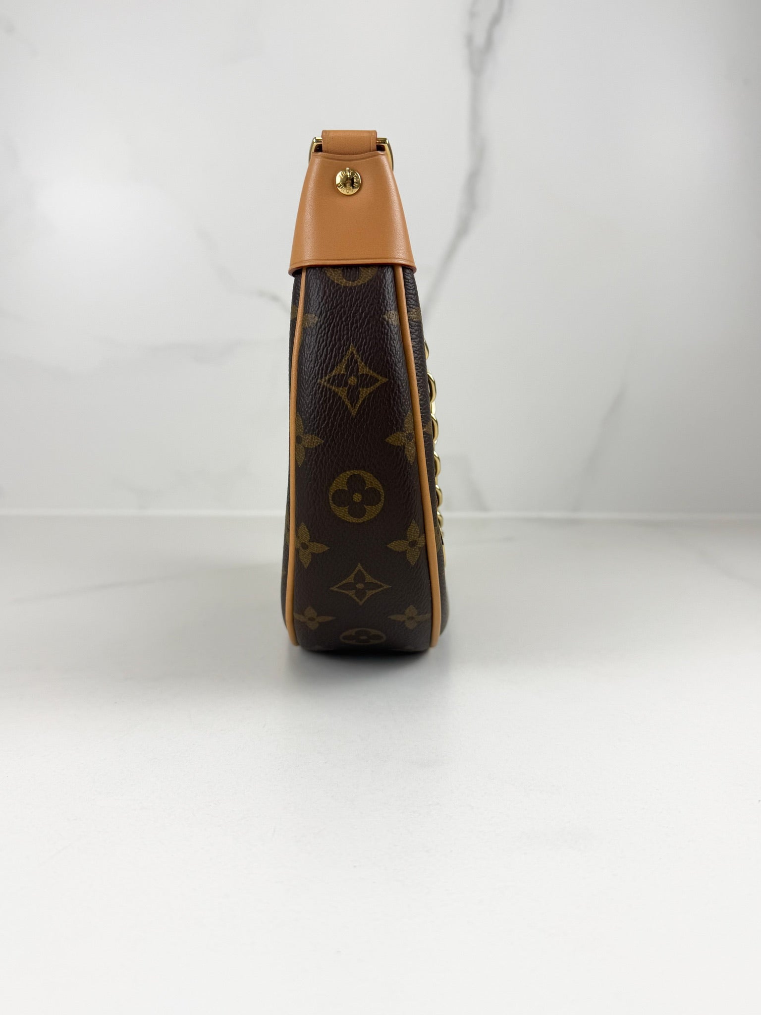 Louis Vuitton Loop Monogram Chain Bag