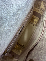 Christian Dior Lady Dior Medium Lady D-Lite Bag