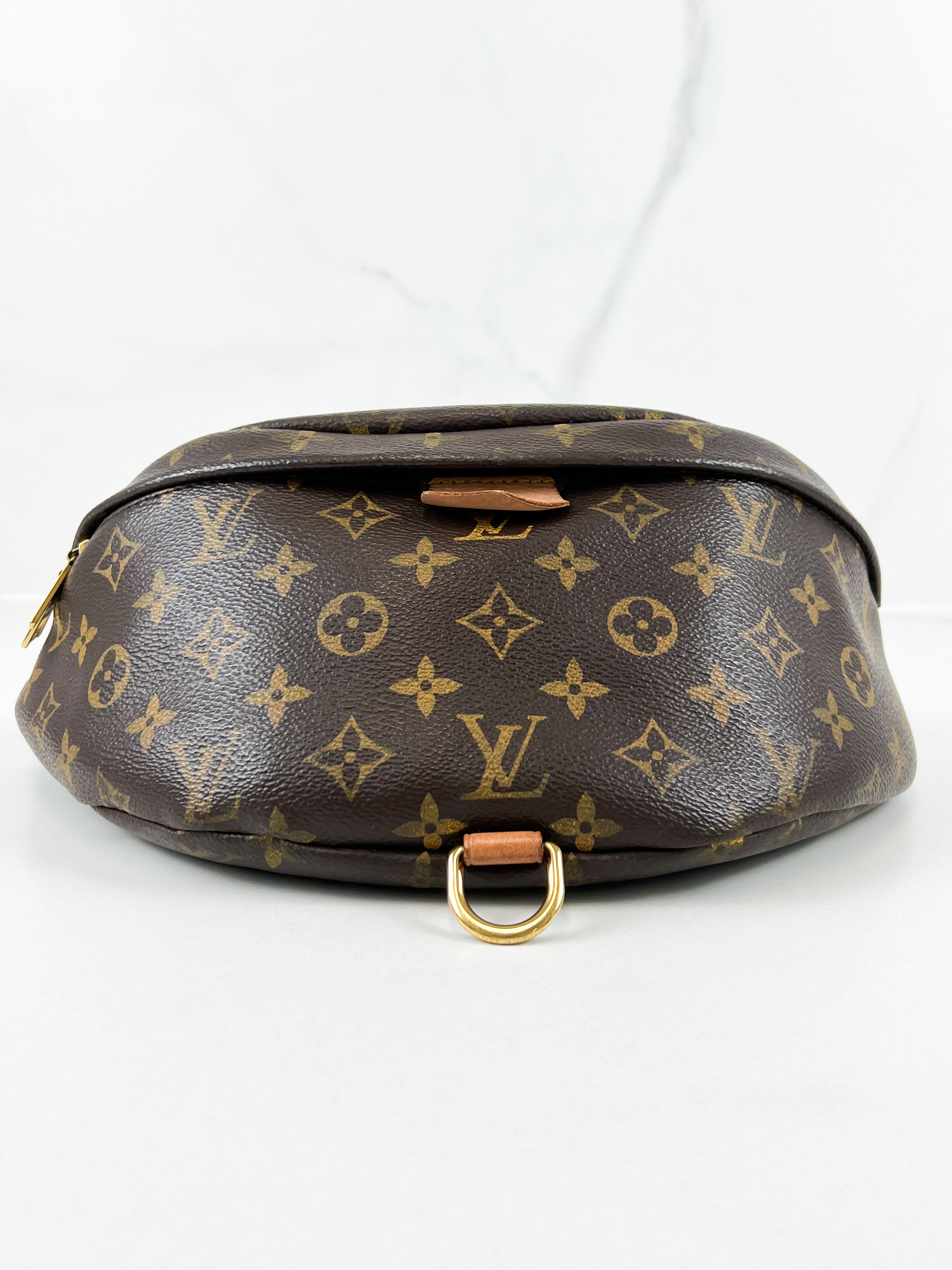 Louis Vuitton Monogram Canvas Bumbag