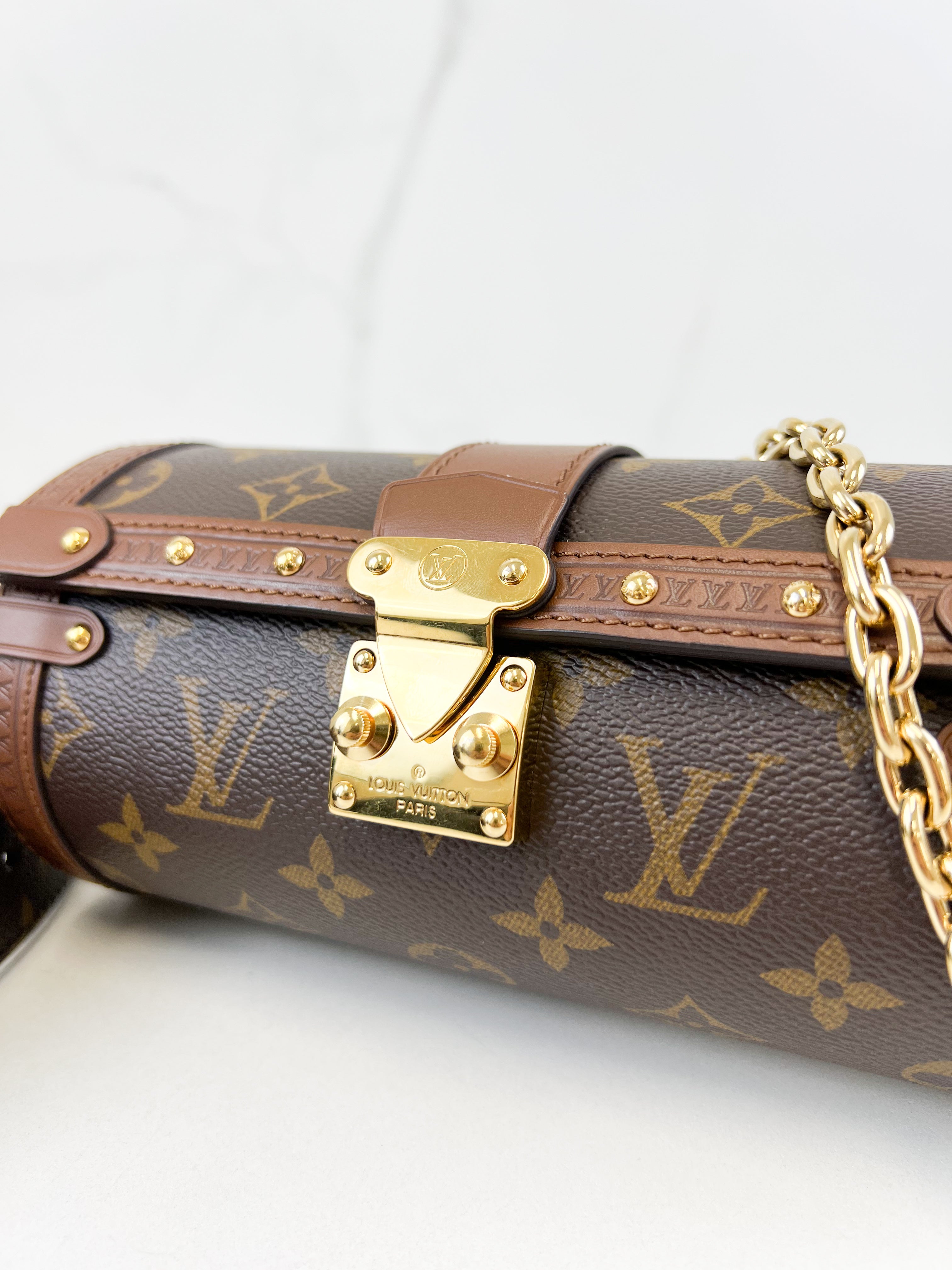 Louis Vuitton Papillon Trunk