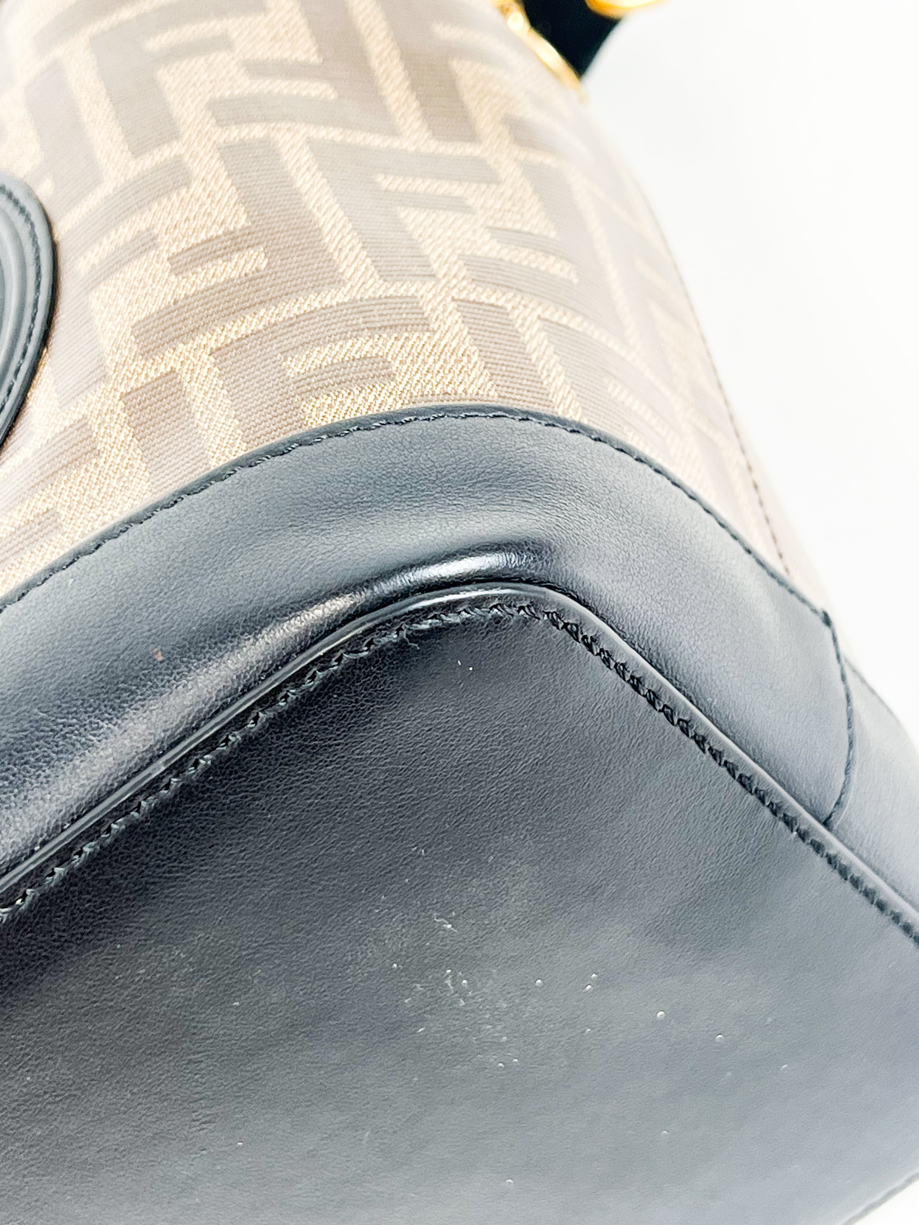 Fendi FF Mon Tresor Bucket Bag