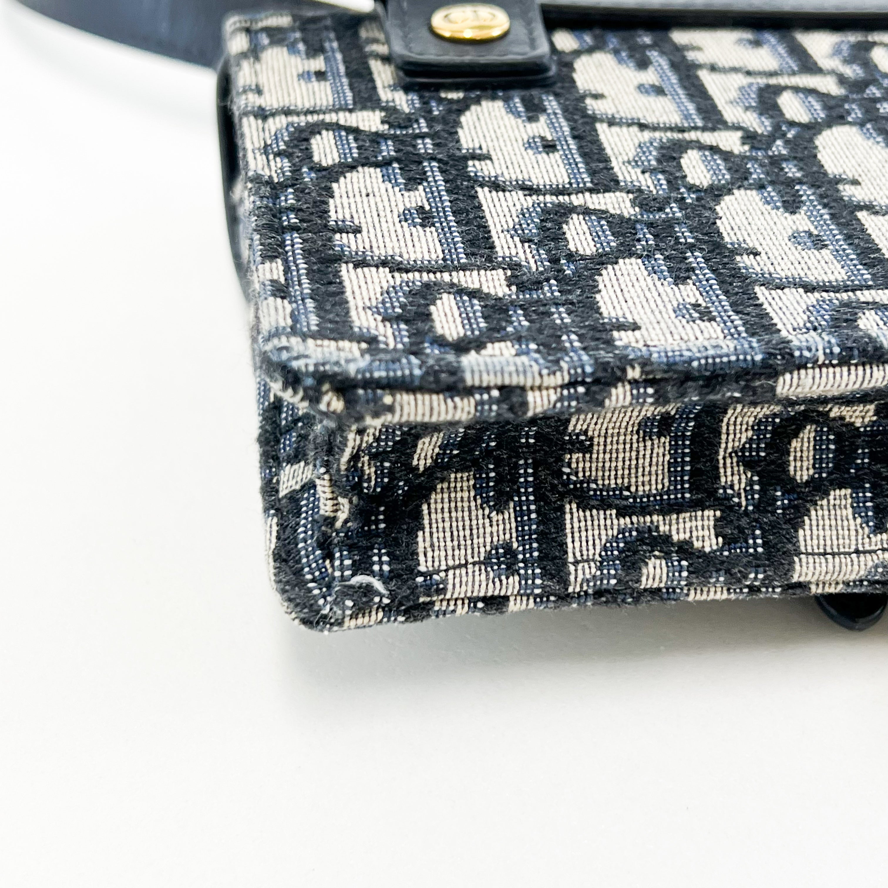 Christian Dior Saddle Oblique Belt Bag