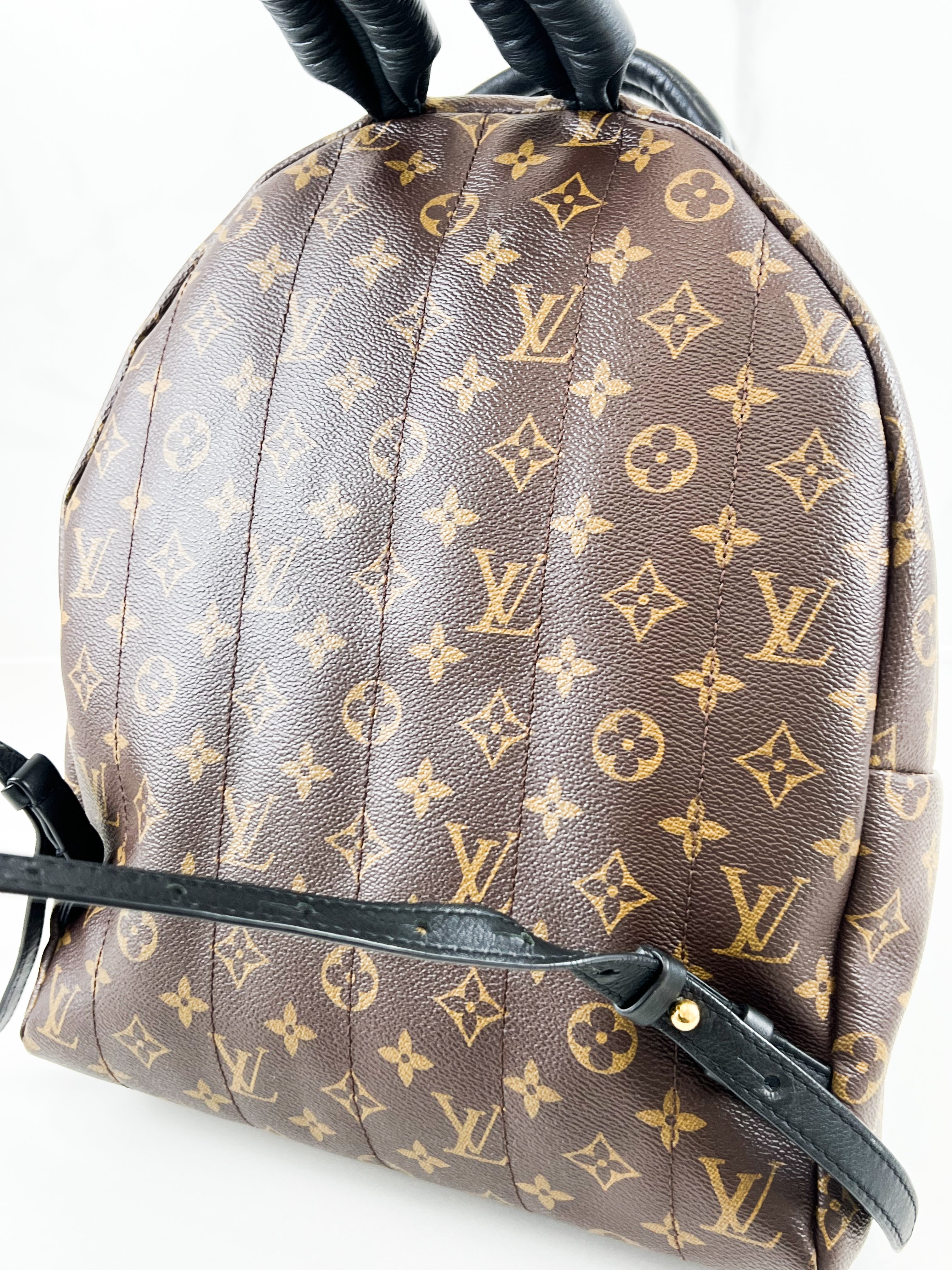 Louis Vuitton Palm Springs MM Monogram