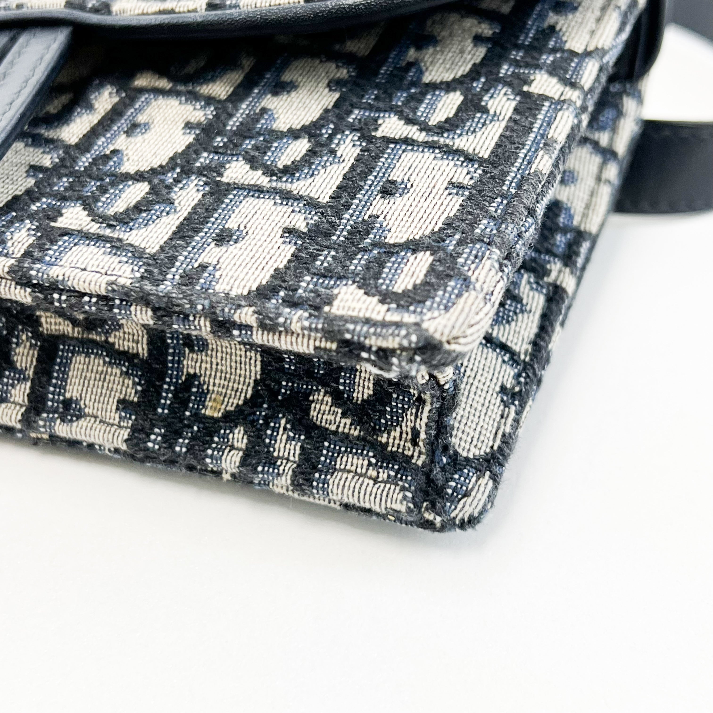 Christian Dior Saddle Oblique Belt Bag