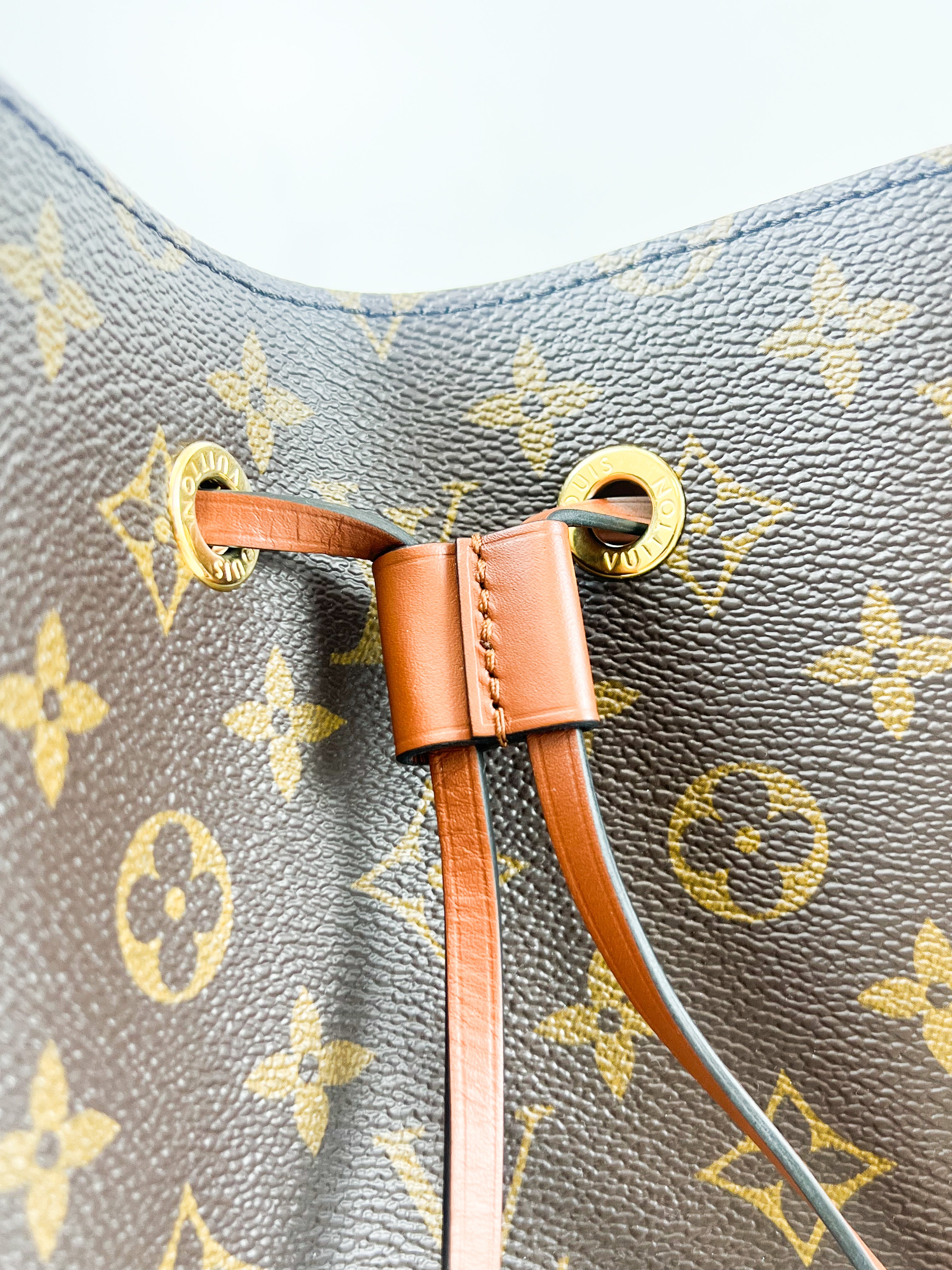Louis Vuitton Neo Noe Monogram