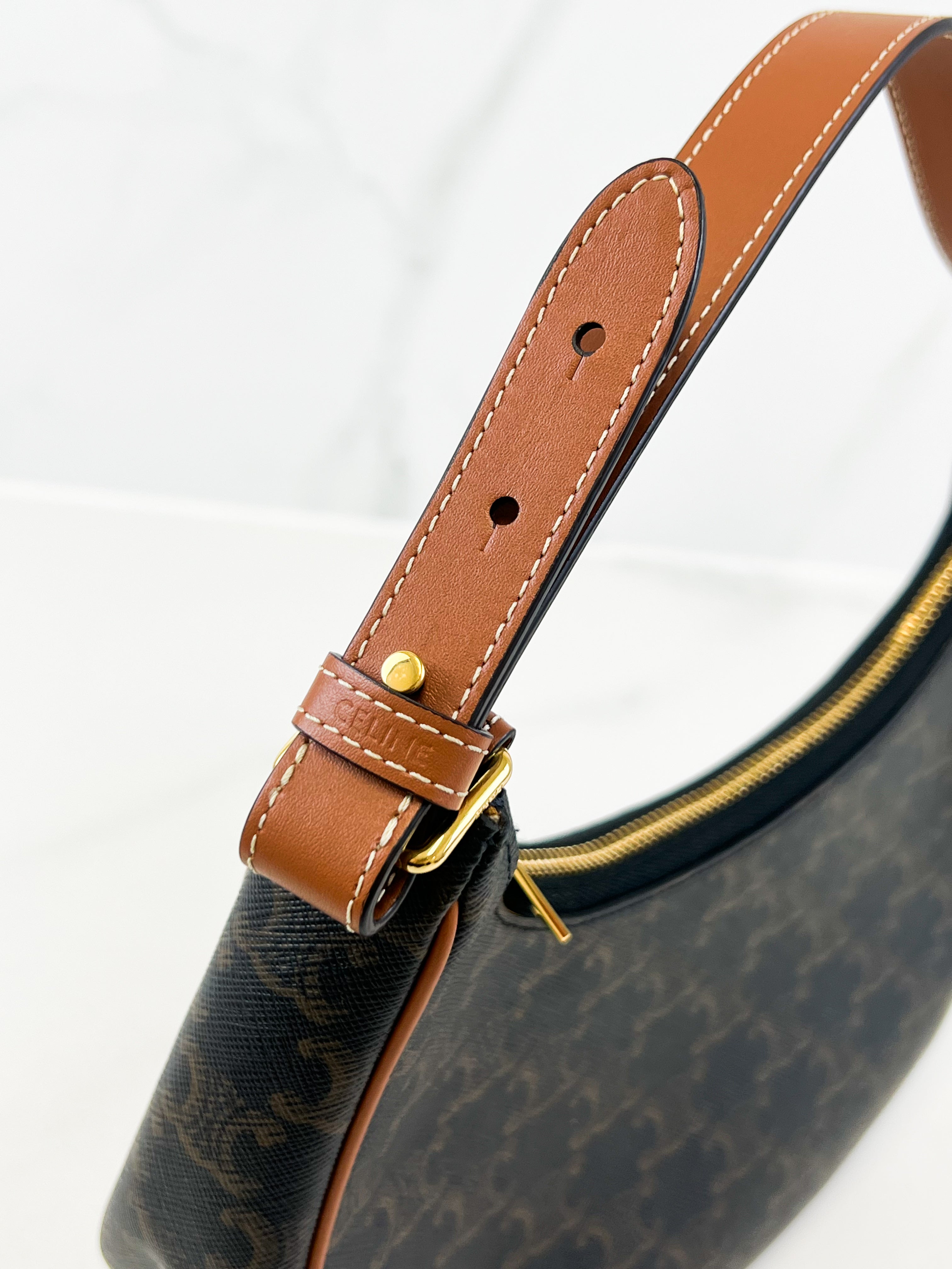 Celine Ava Bag in Triomphe Canvas & Calfskin Ta