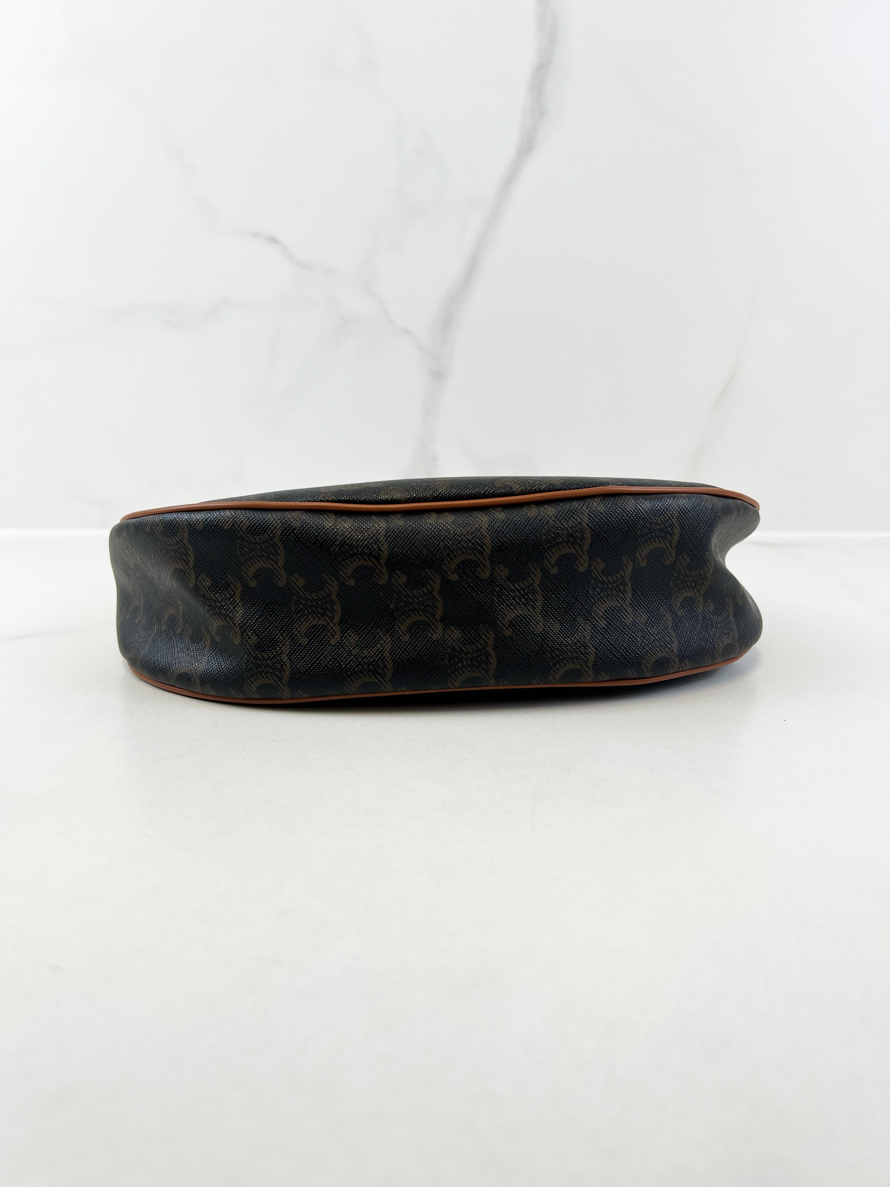 Celine Ava Bag in Triomphe Canvas & Calfskin Ta