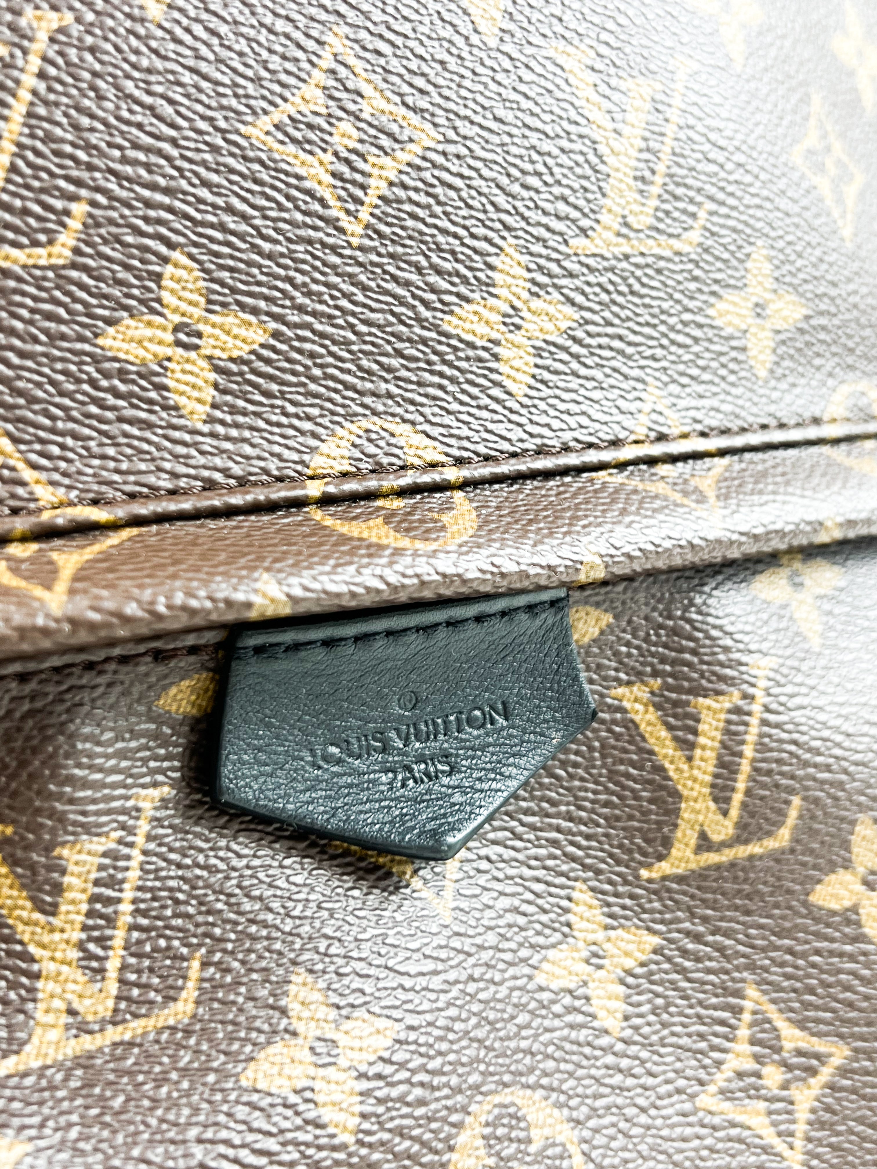Louis Vuitton Palm Springs MM Monogram