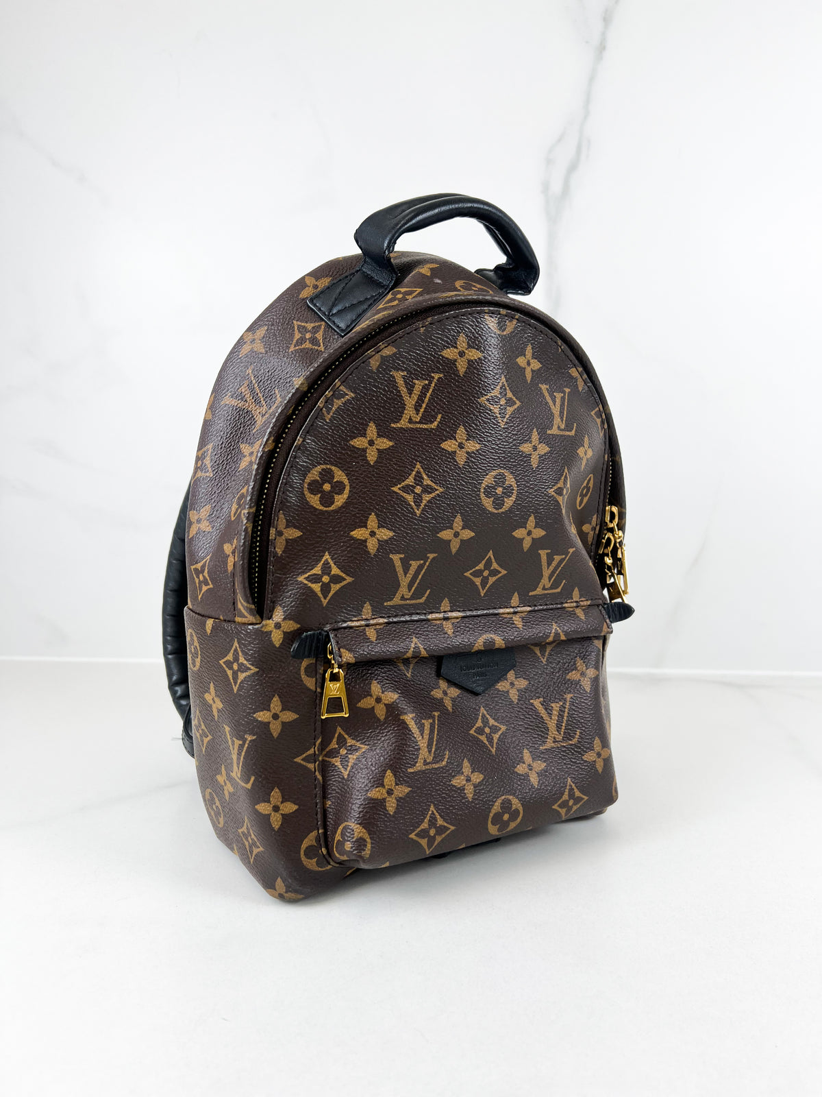 Louis Vuitton Palm Springs PM Monogram