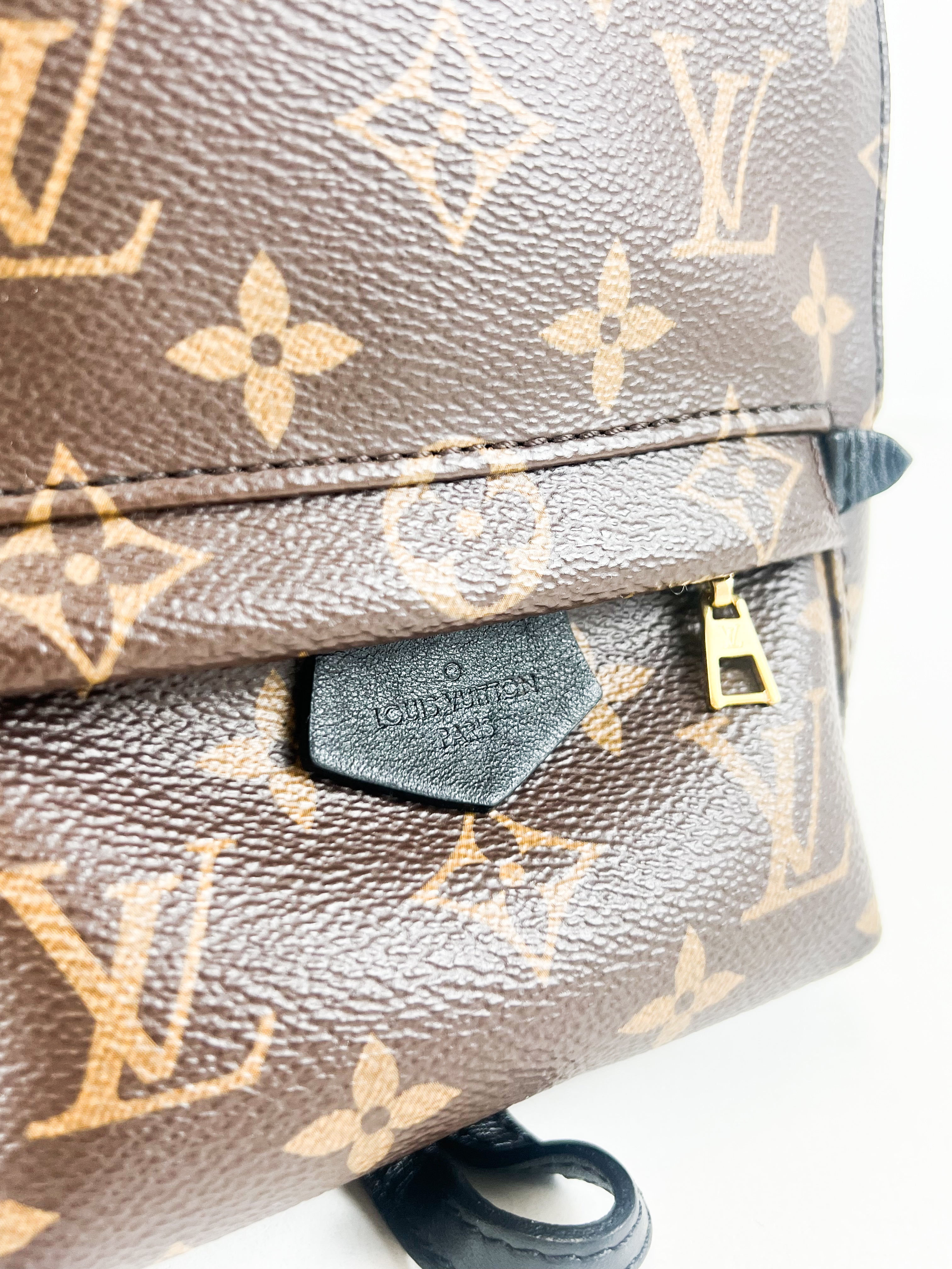 Louis Vuitton Palm Springs Mini