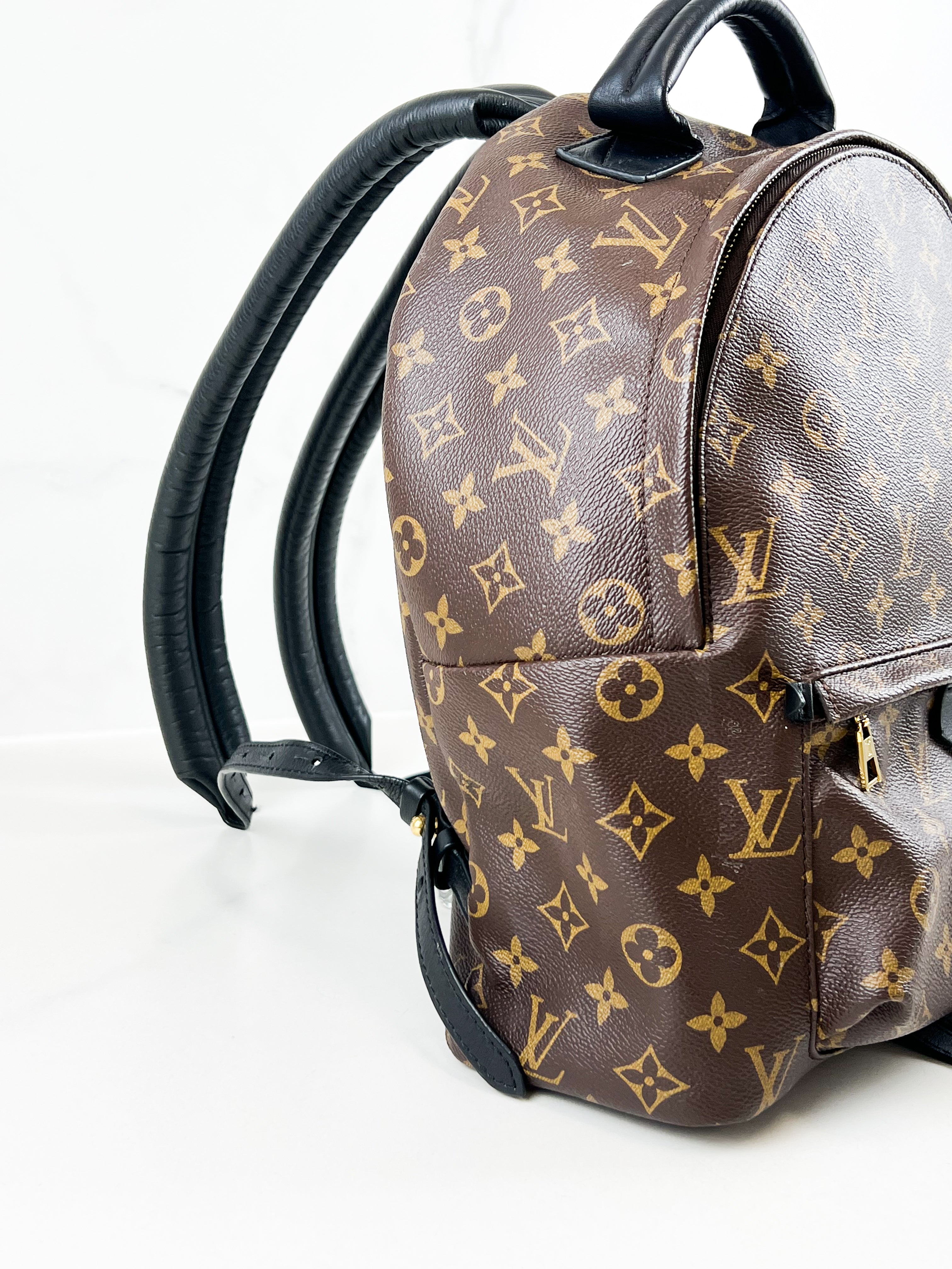 Louis Vuitton Palm Springs MM Monogram