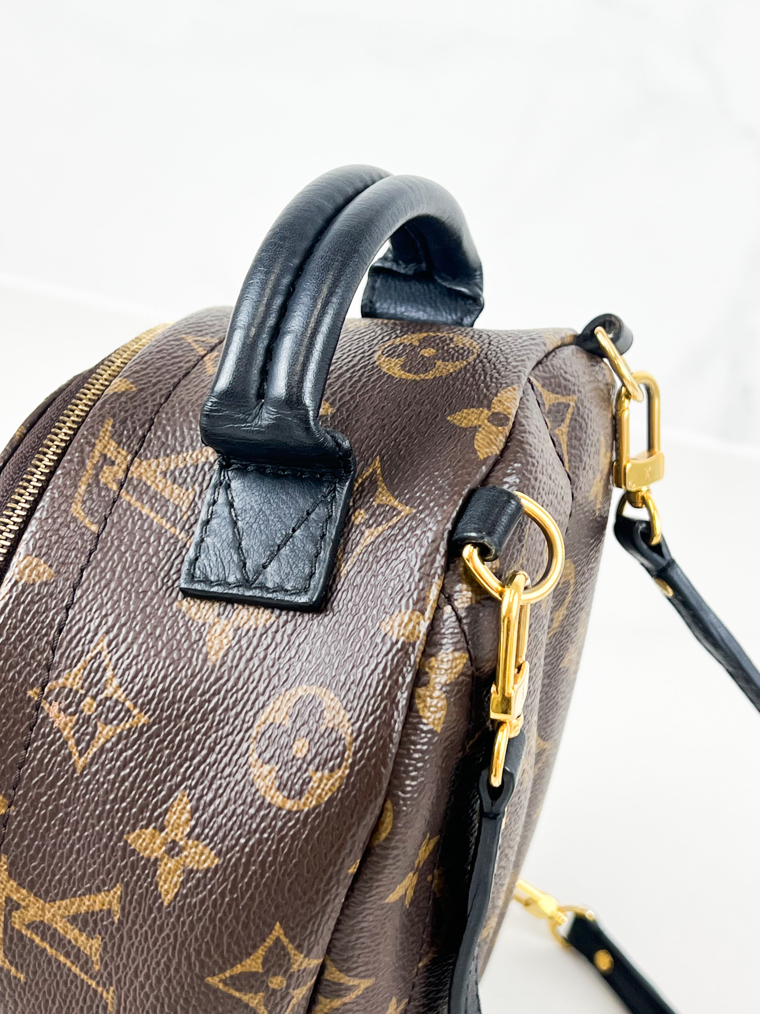 Louis Vuitton Palm Springs Mini